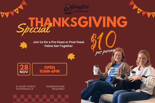 Be Our Guest This Thanksgiving