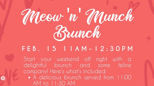 Meow 'n' Munch Brunch Valentine Saturday the 15th