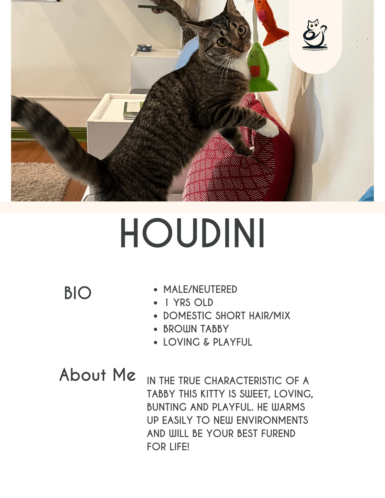 Houdini