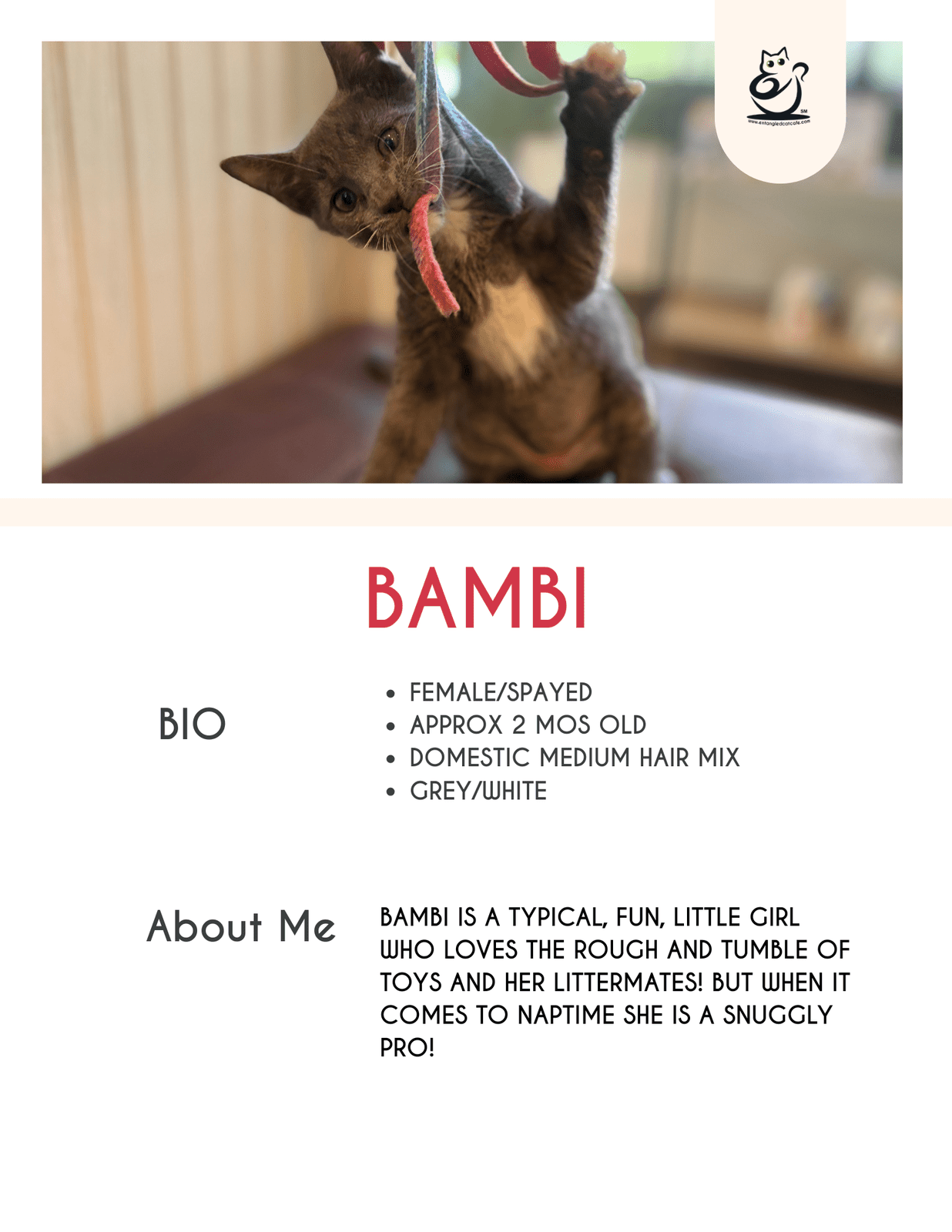 Bambi