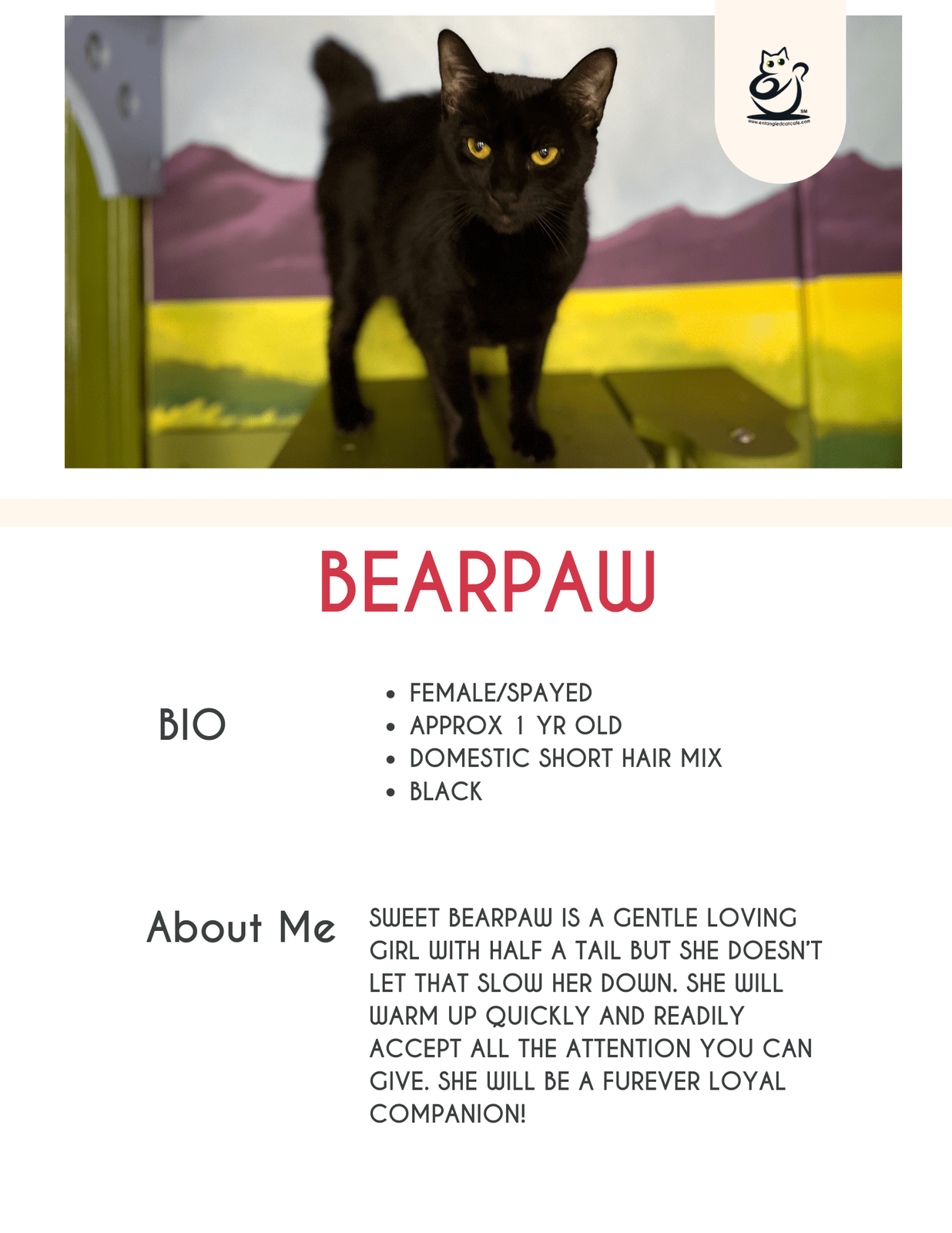 Bearpaw