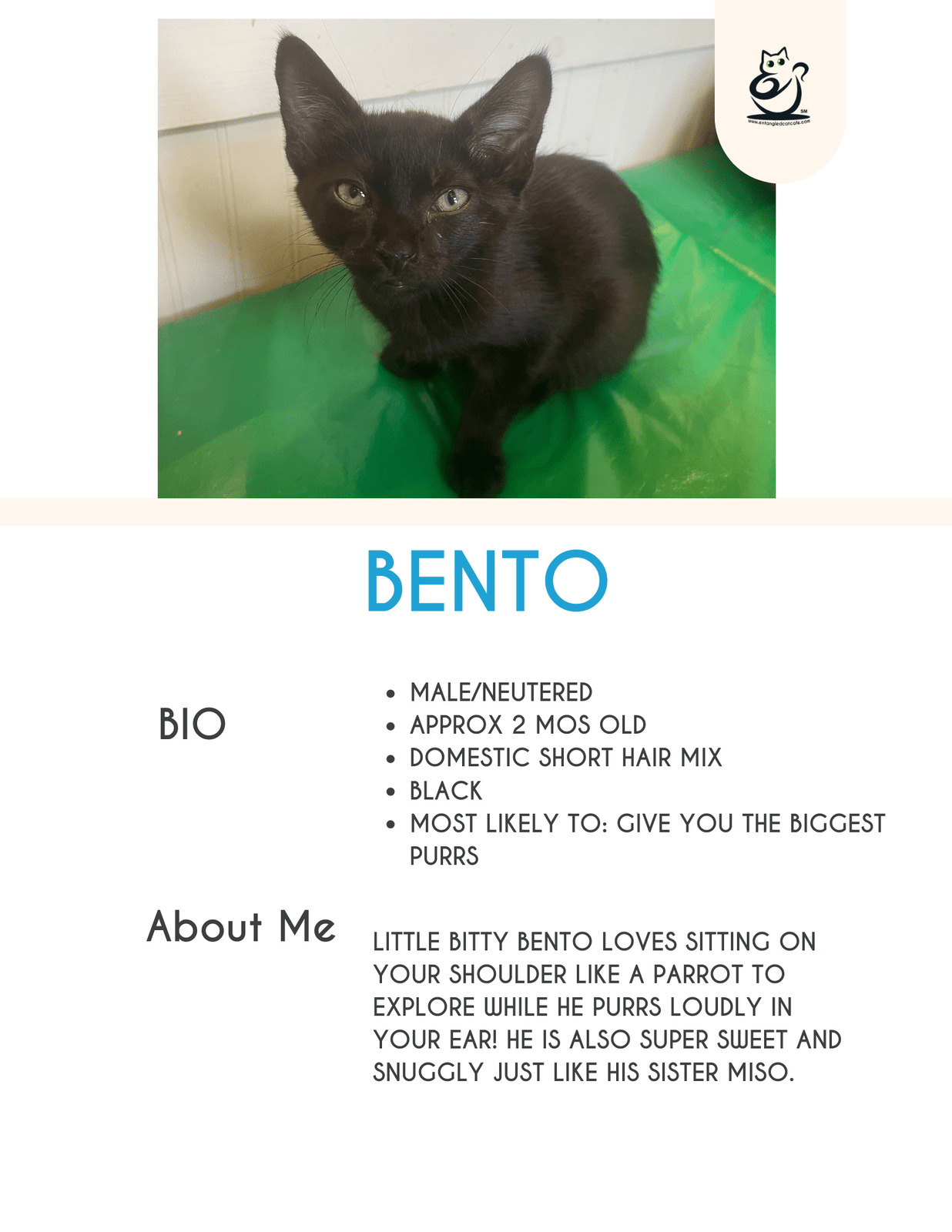 Bento