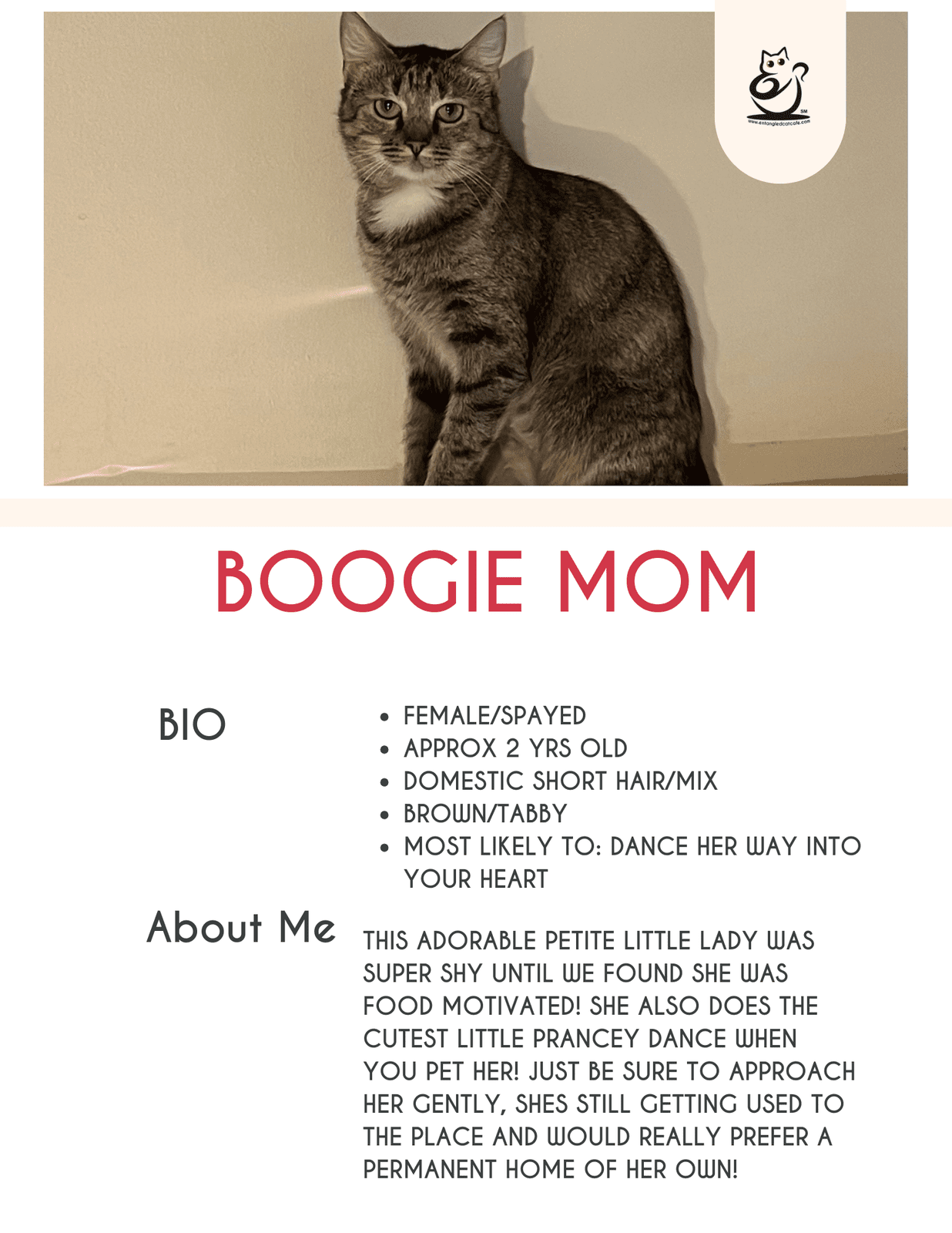 Boogie Mom