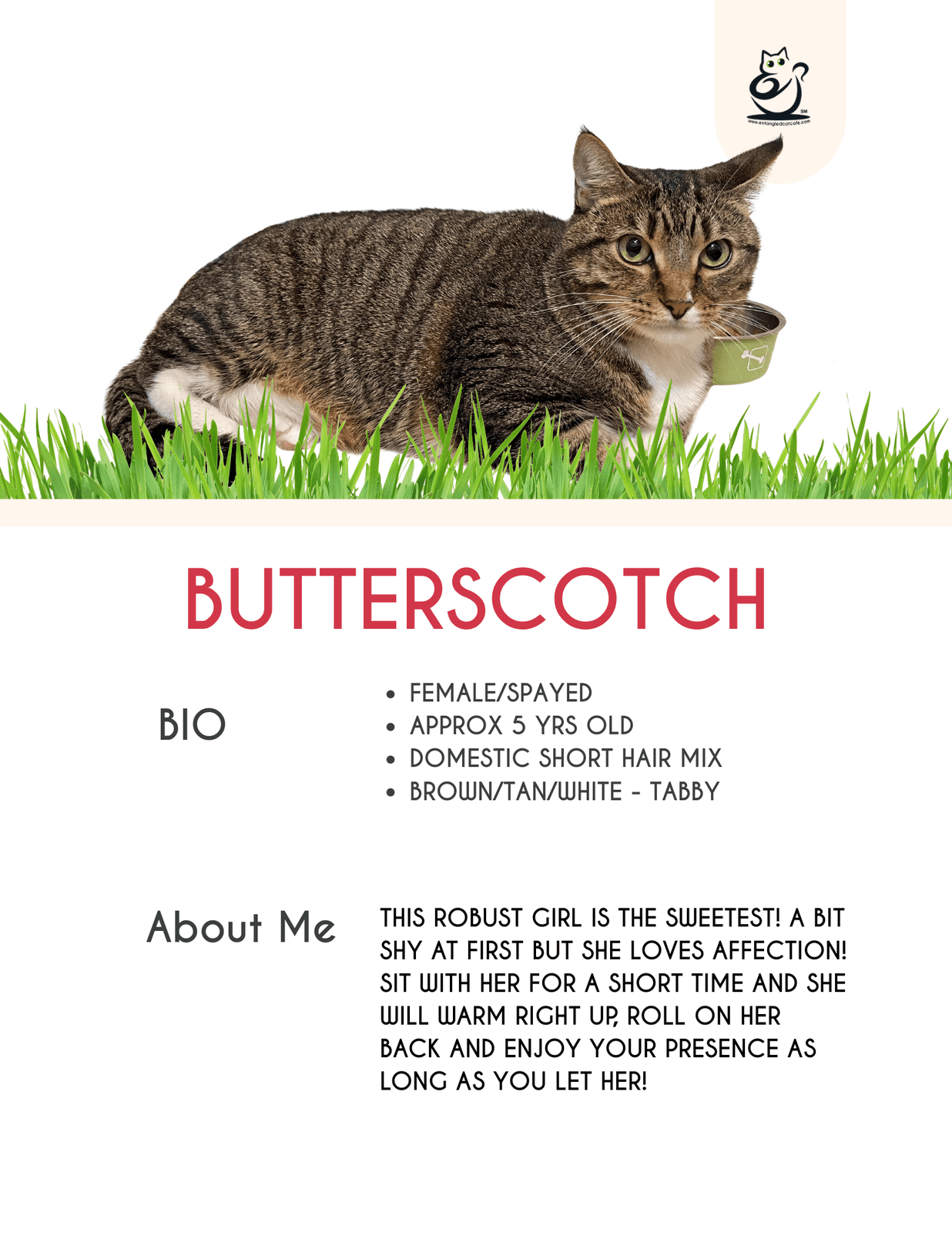 Butterscotch