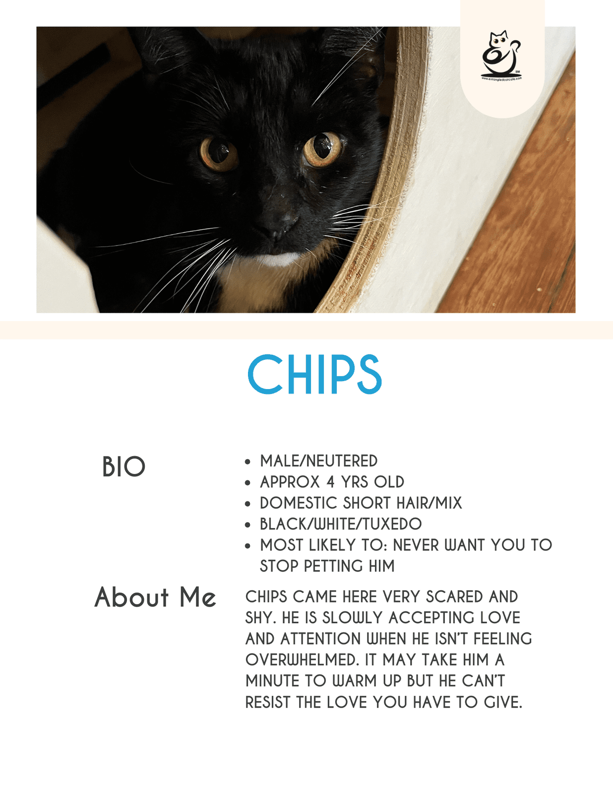 Chips