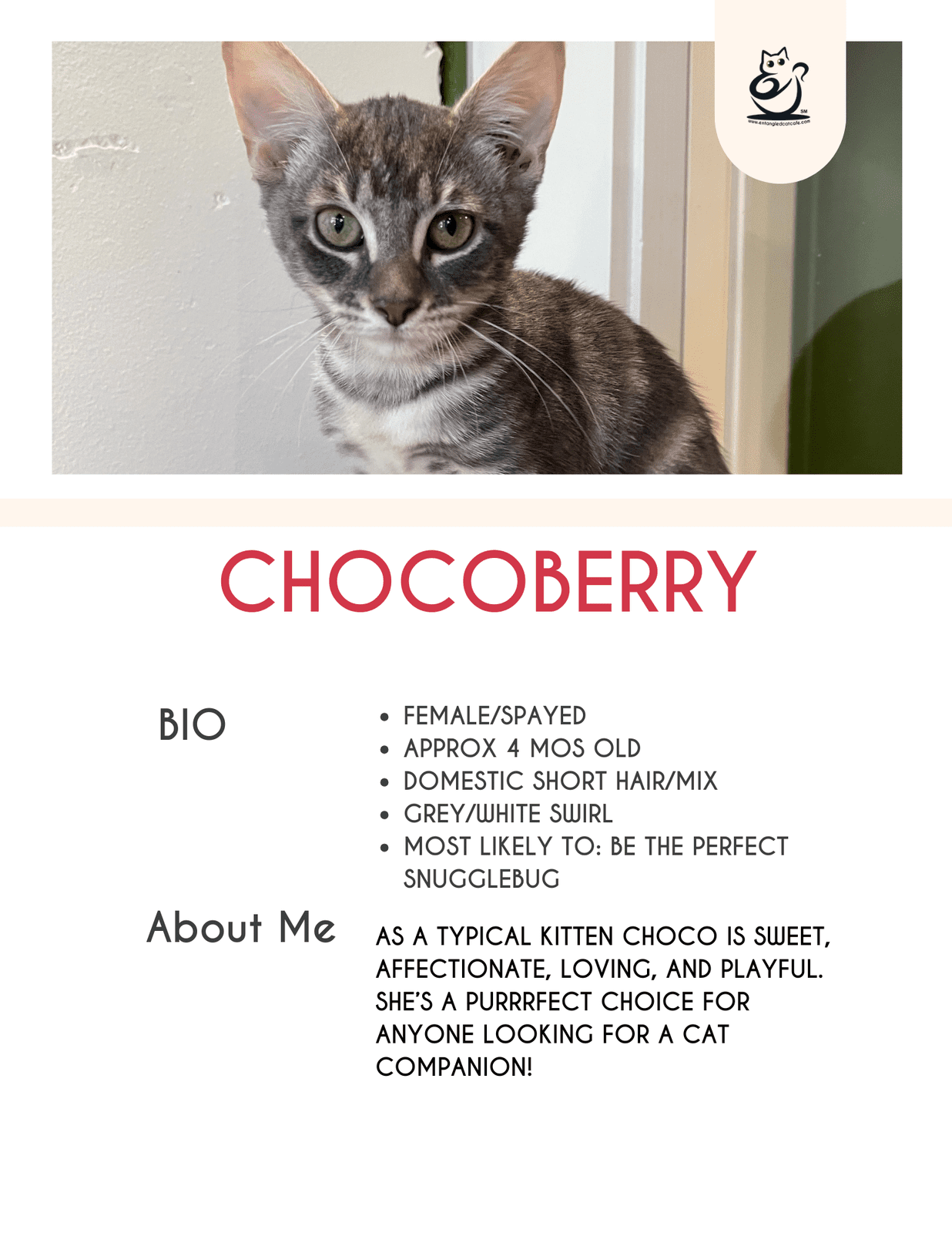 Chocoberry
