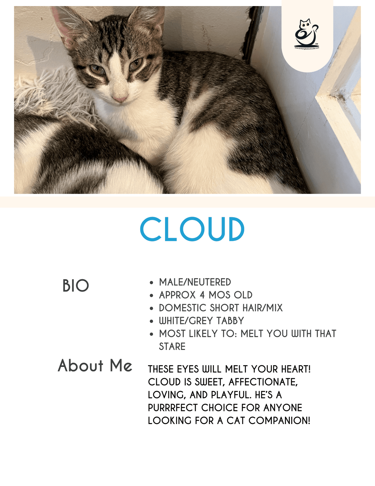 Cloud