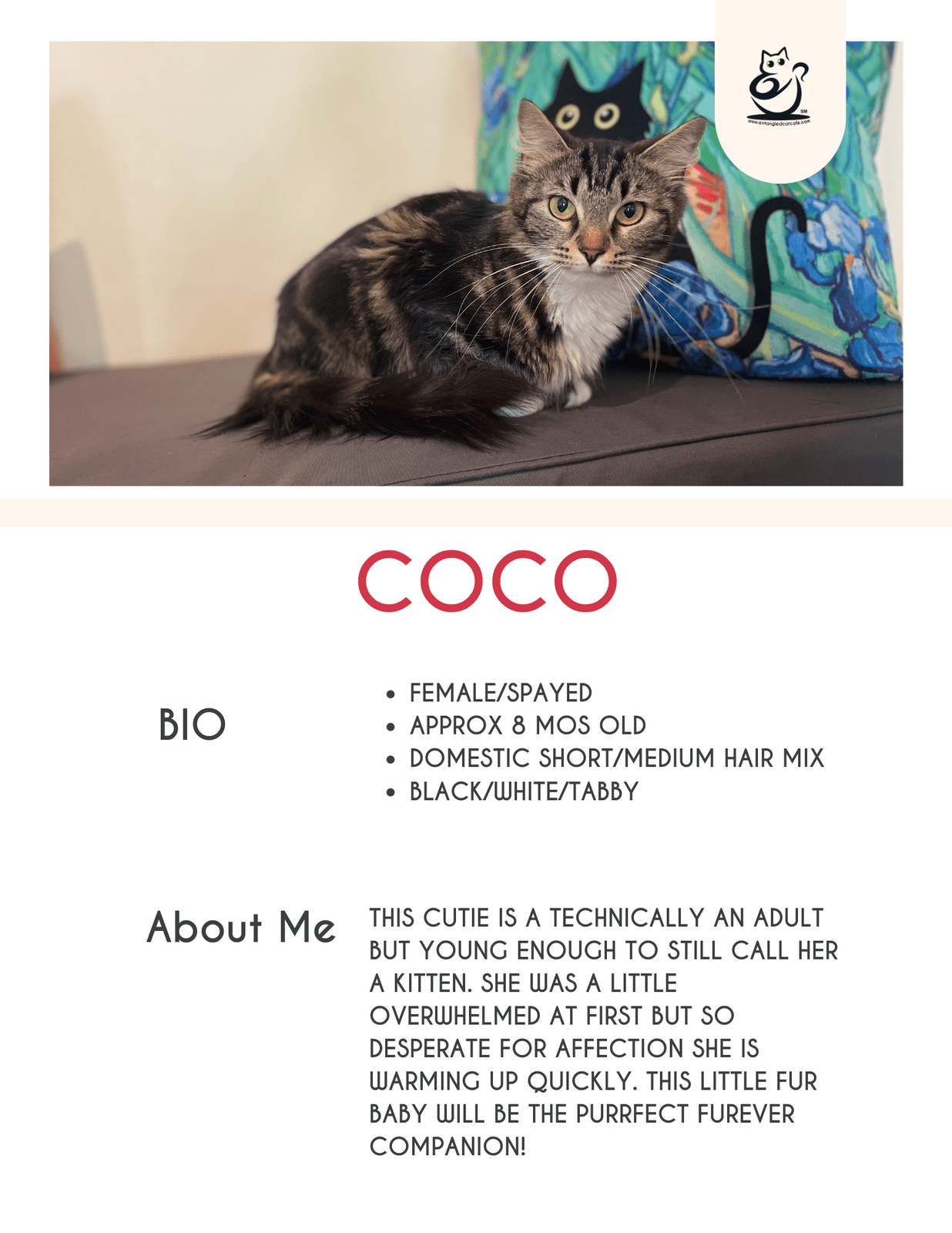 Coco