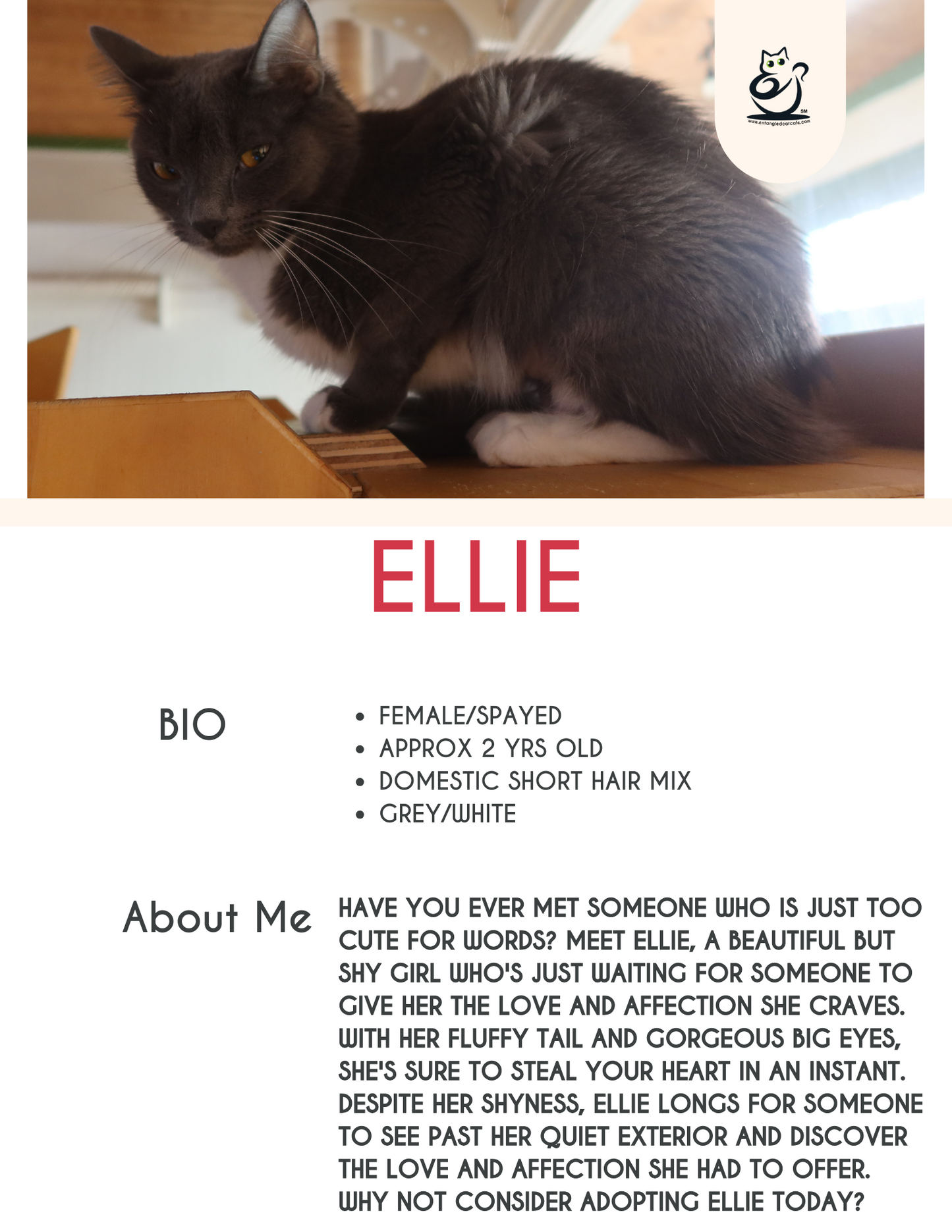 Ellie