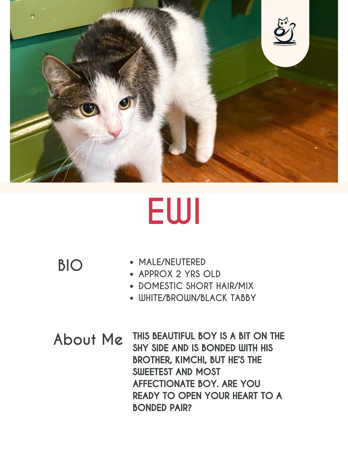 Ewi