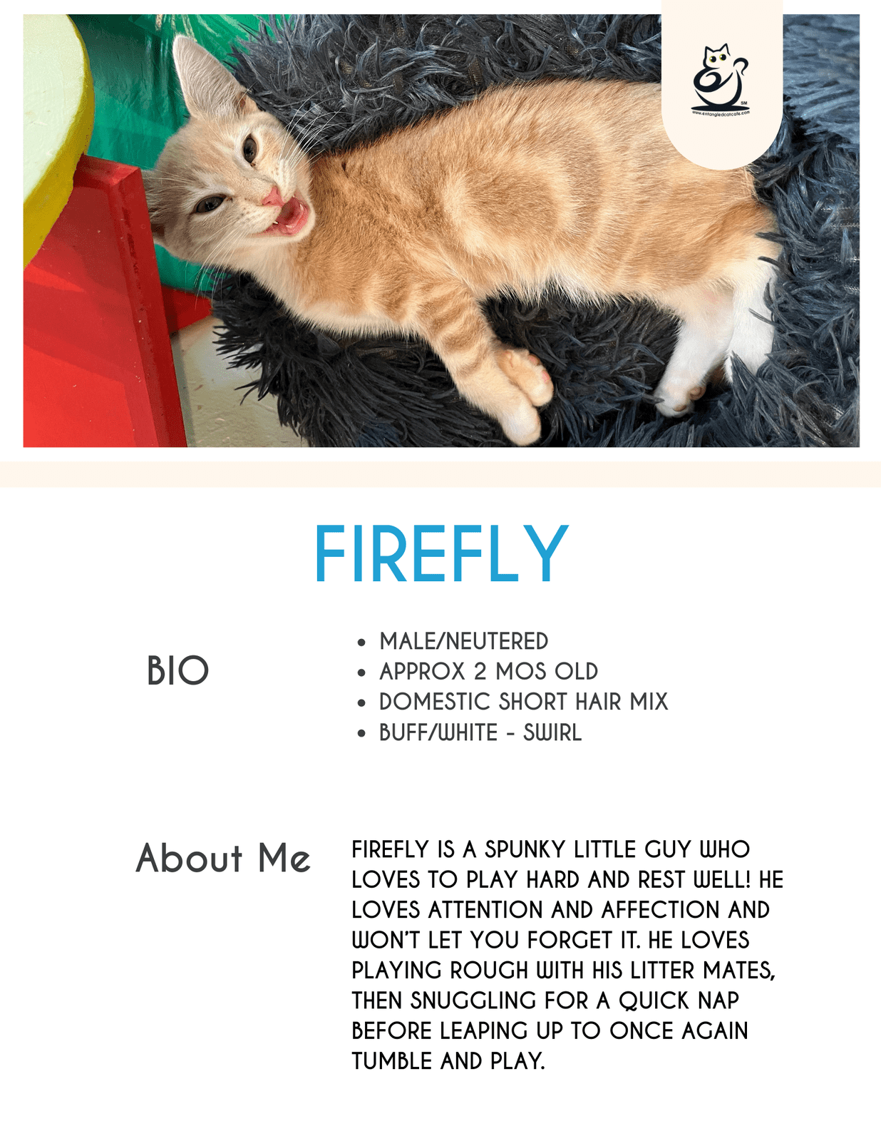 Firefly