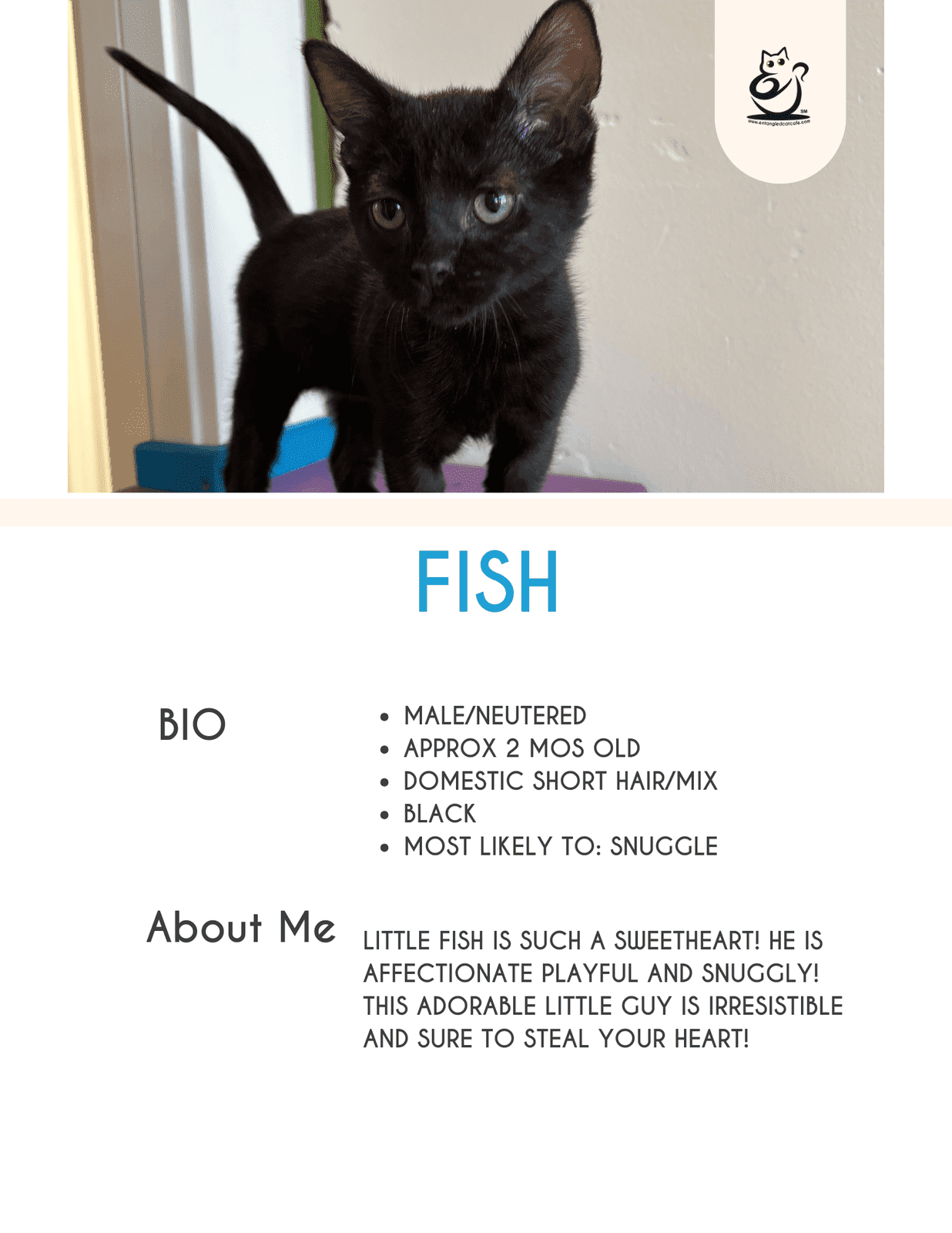 Fish
