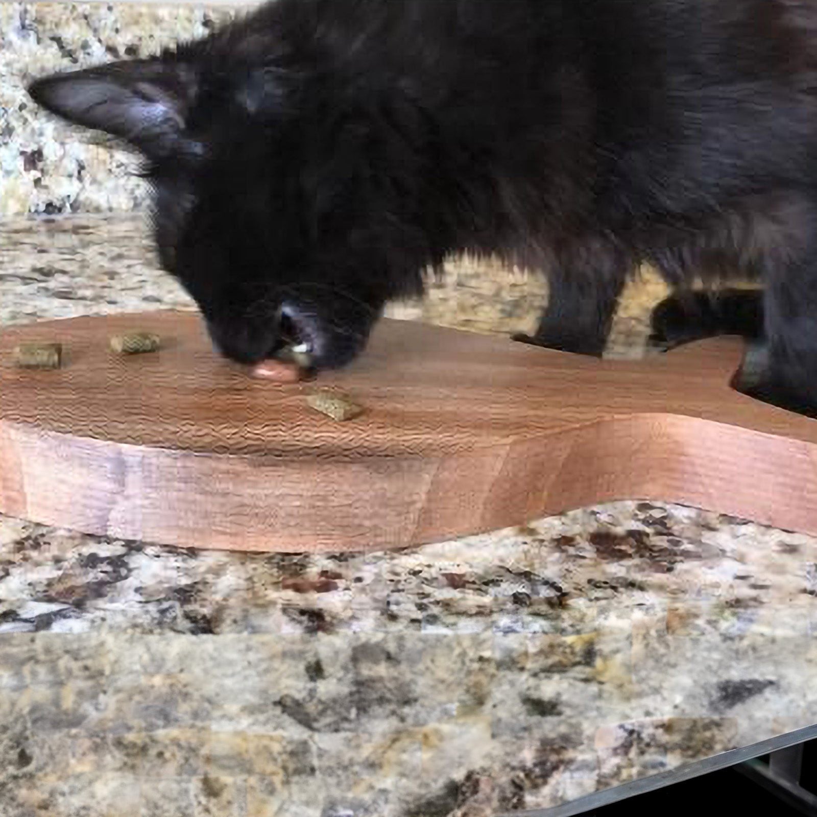 The Great CATchby Fish Shaped CharKITTerie Board