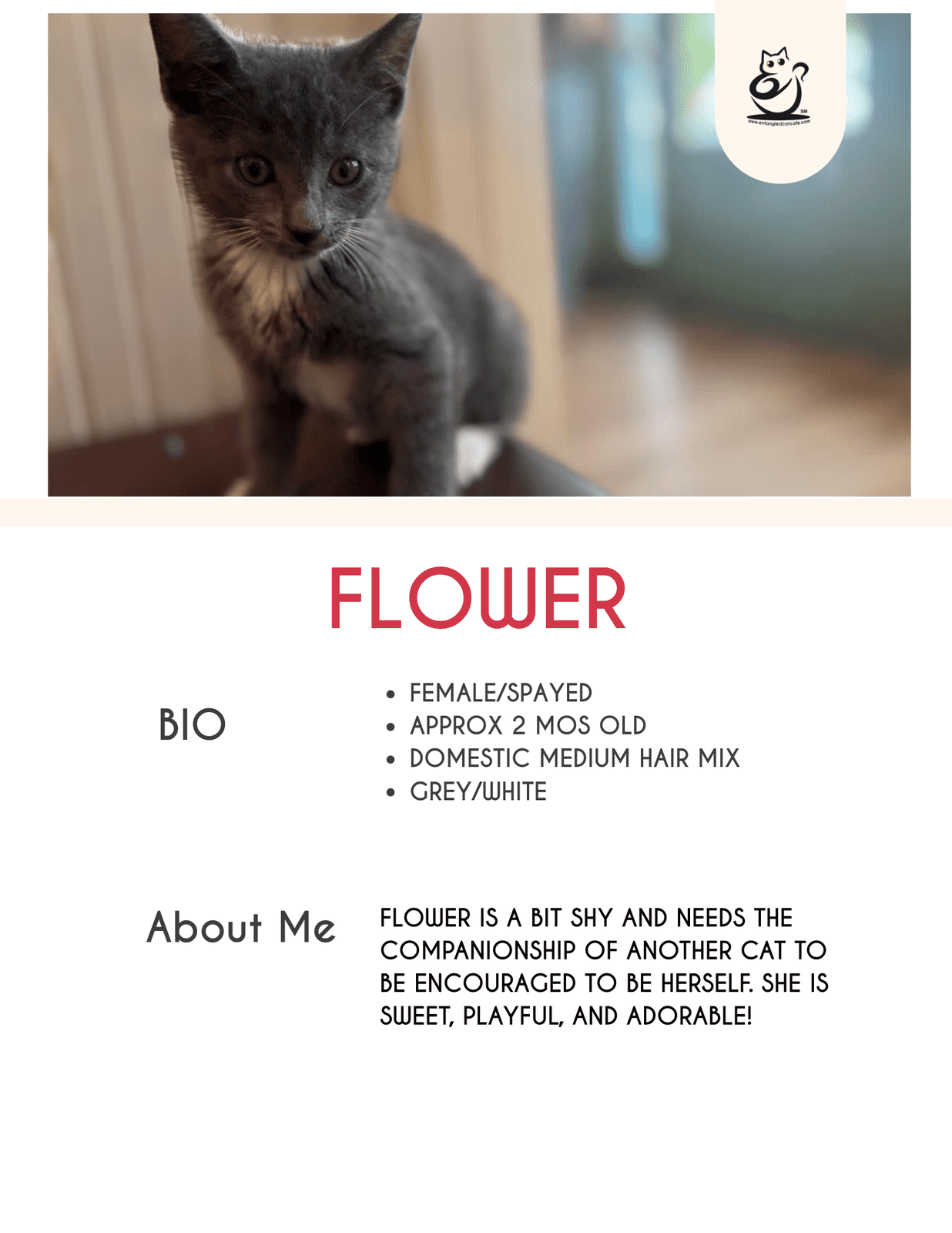 Flower