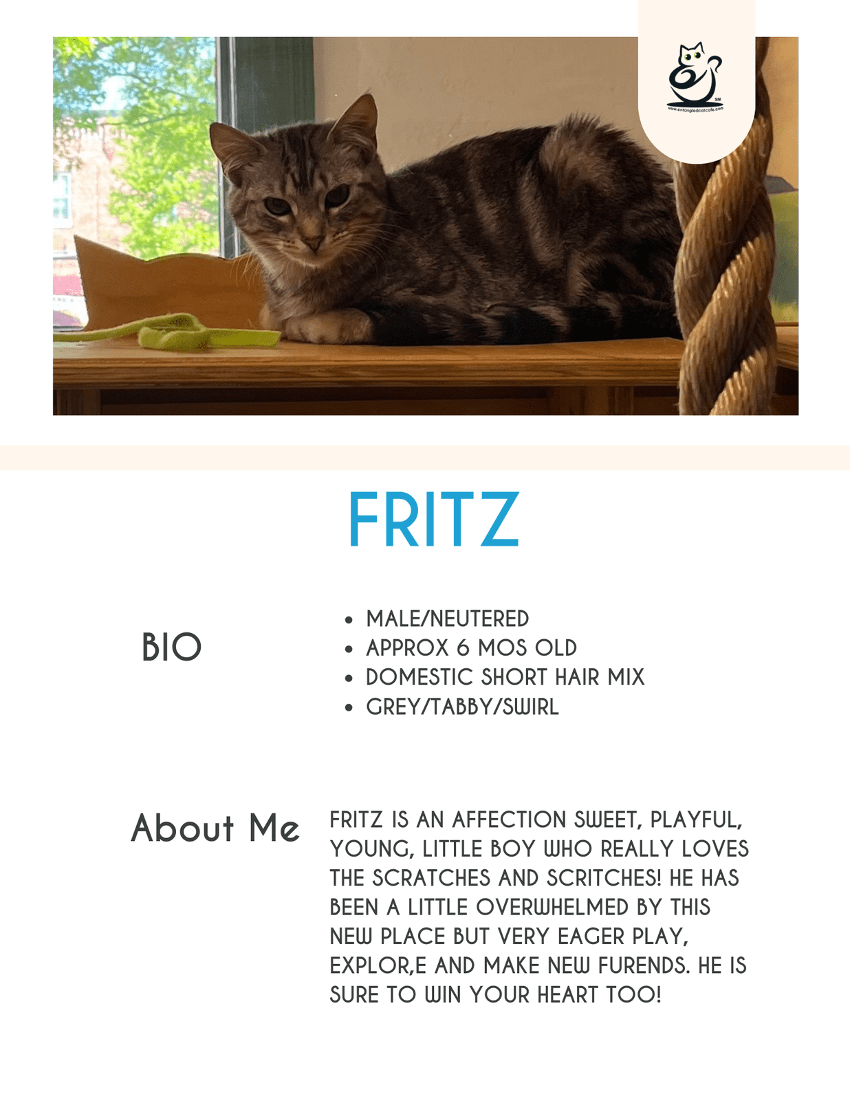 Fritz