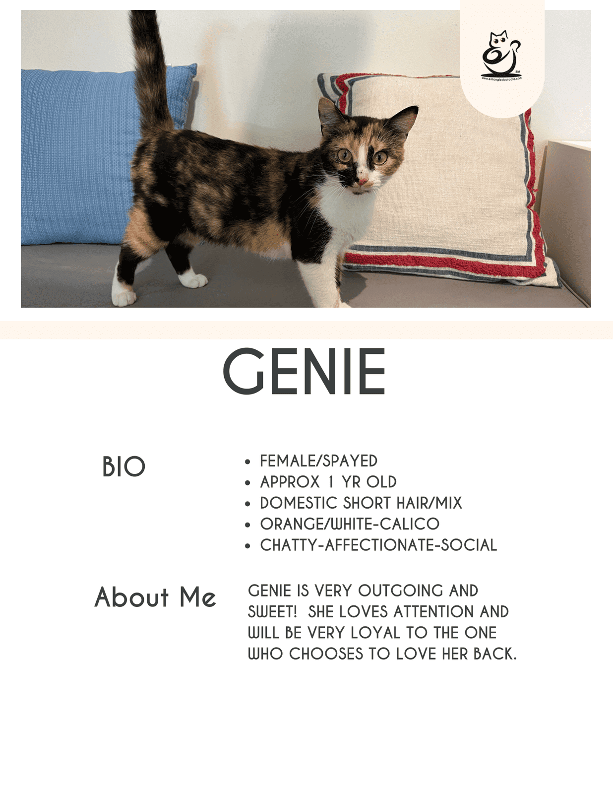 Genie