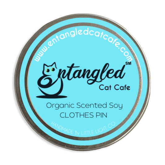 Hand-poured Local Soy Travel Tin Candle- Clothes Pin Scent