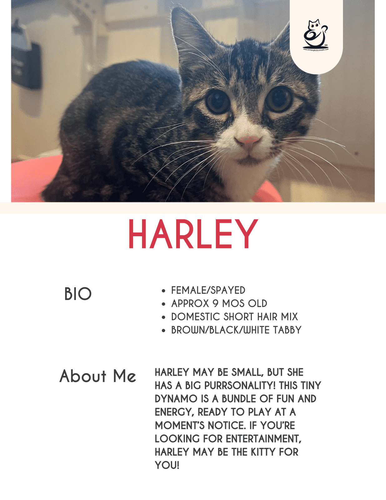 Harley