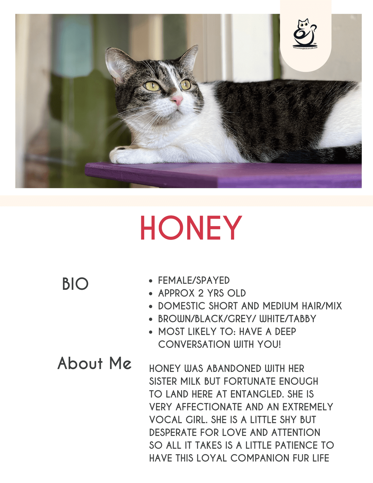 Honey