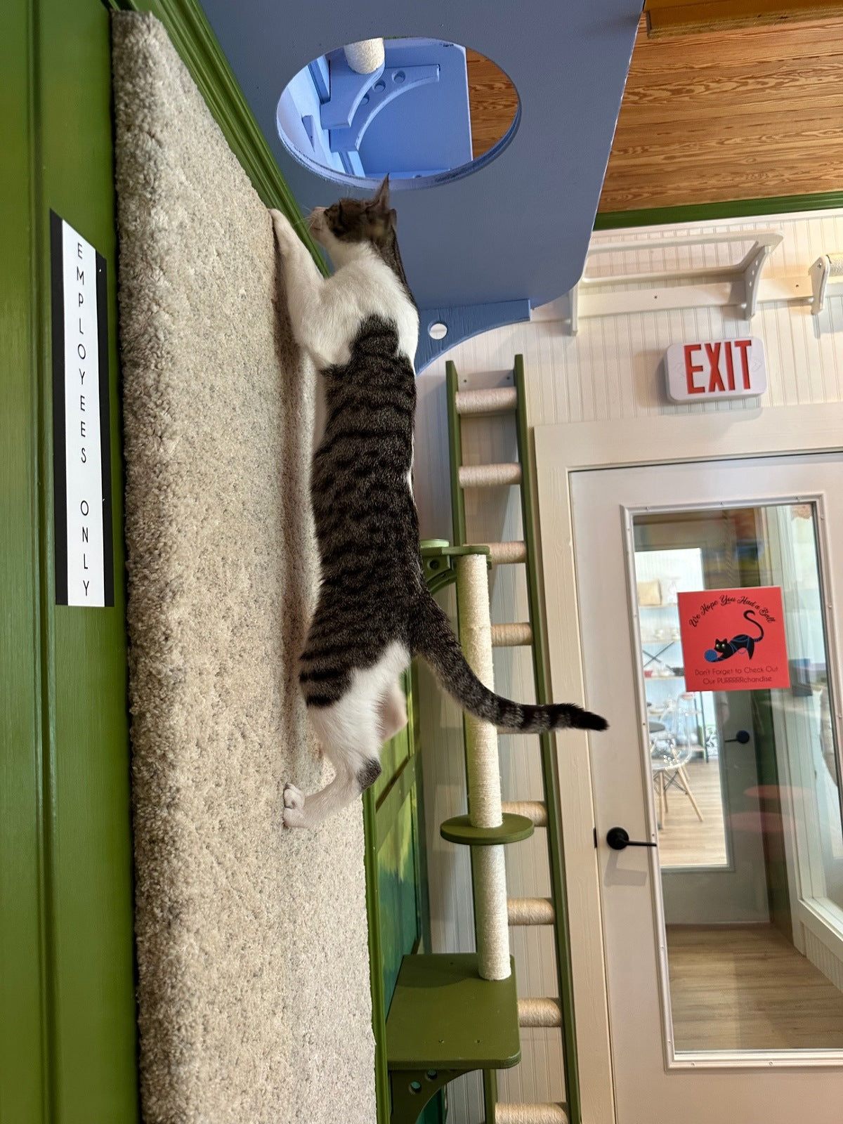 Hops
