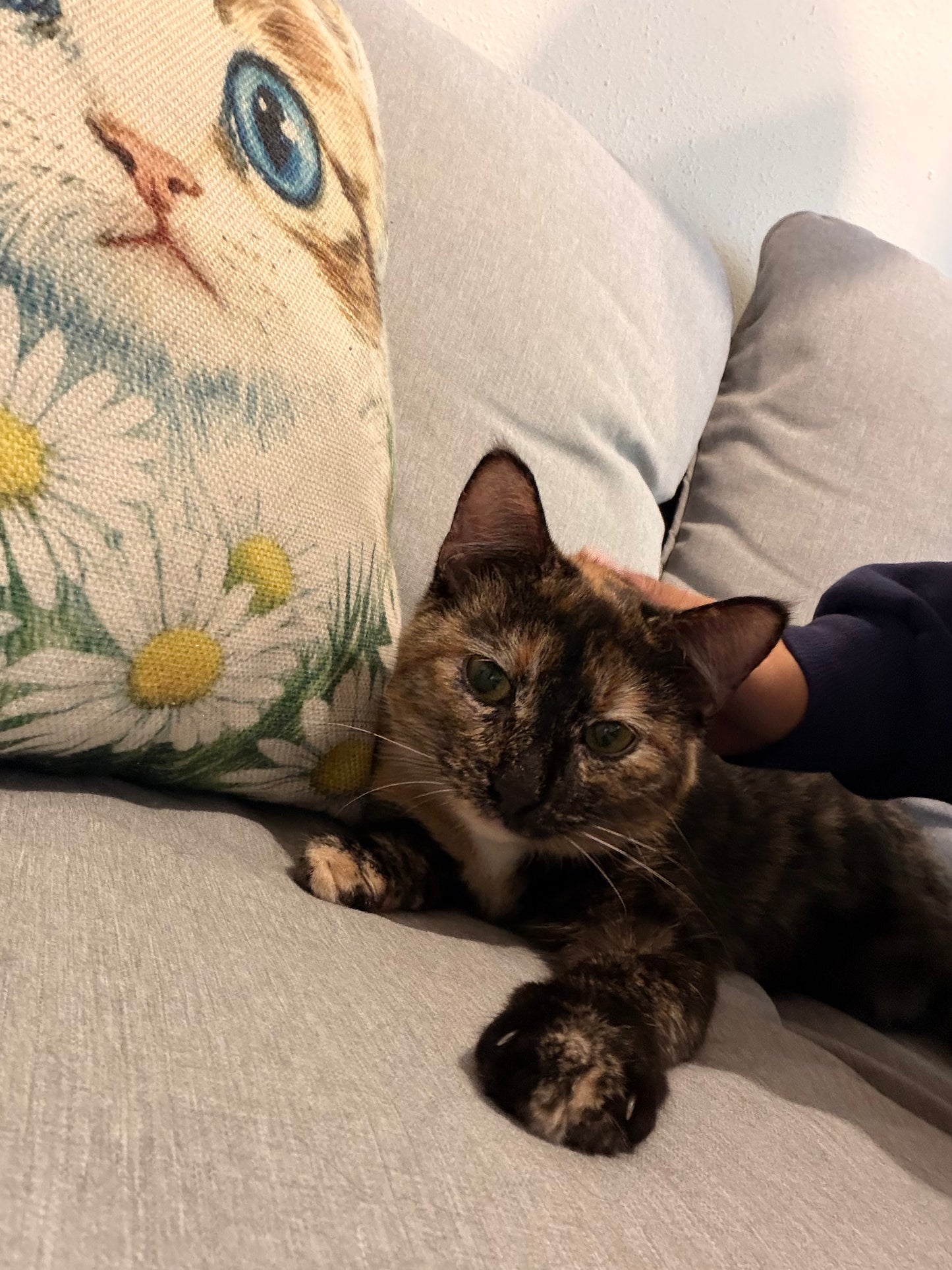Clementine