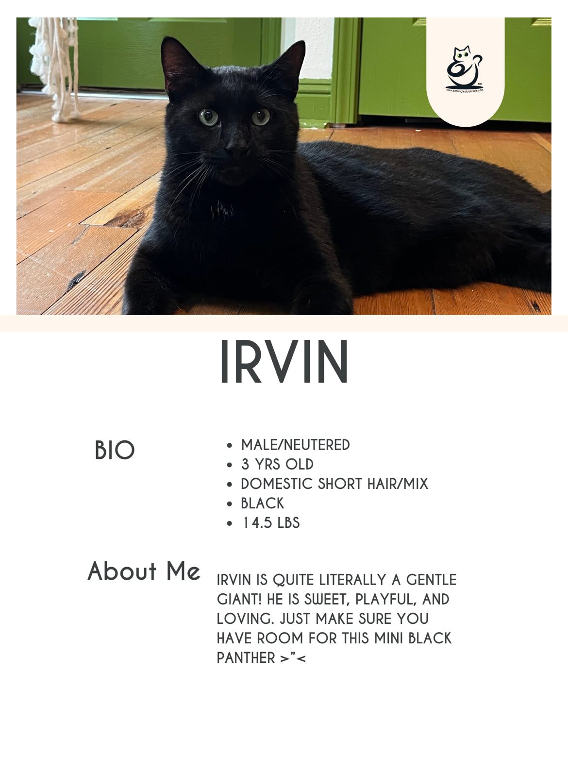 Irvin
