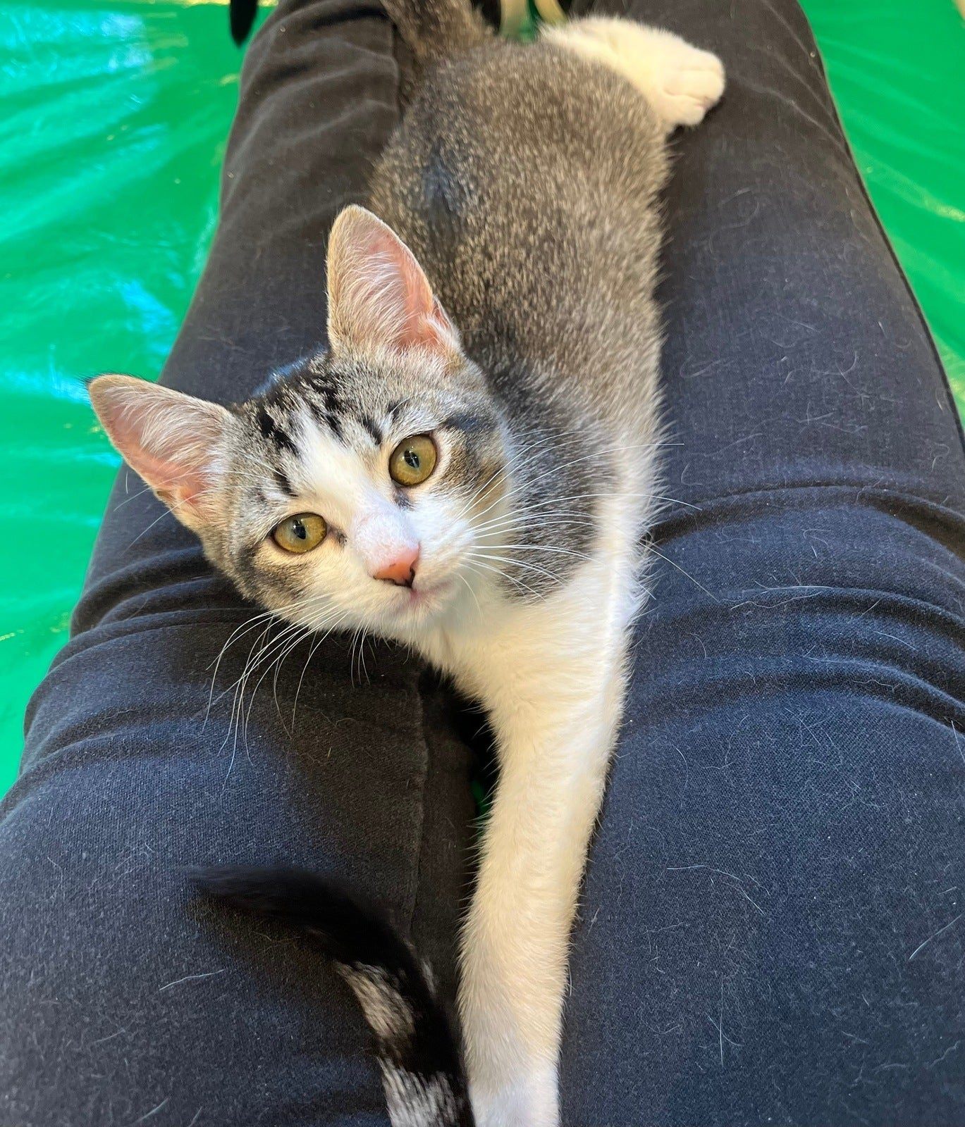 Jadzia