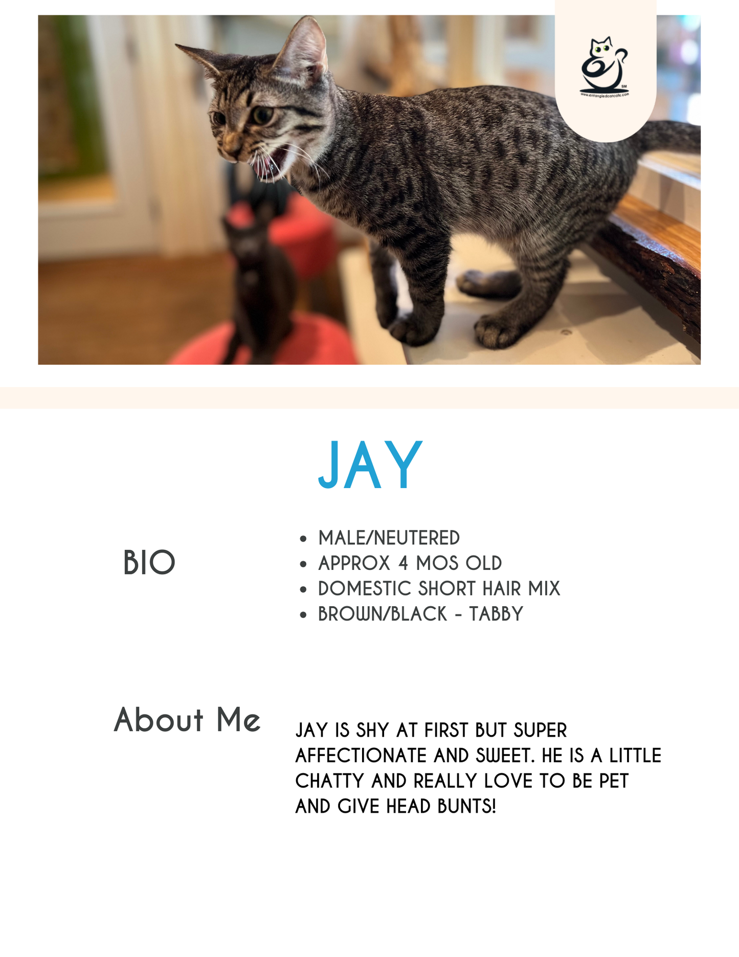 Jay