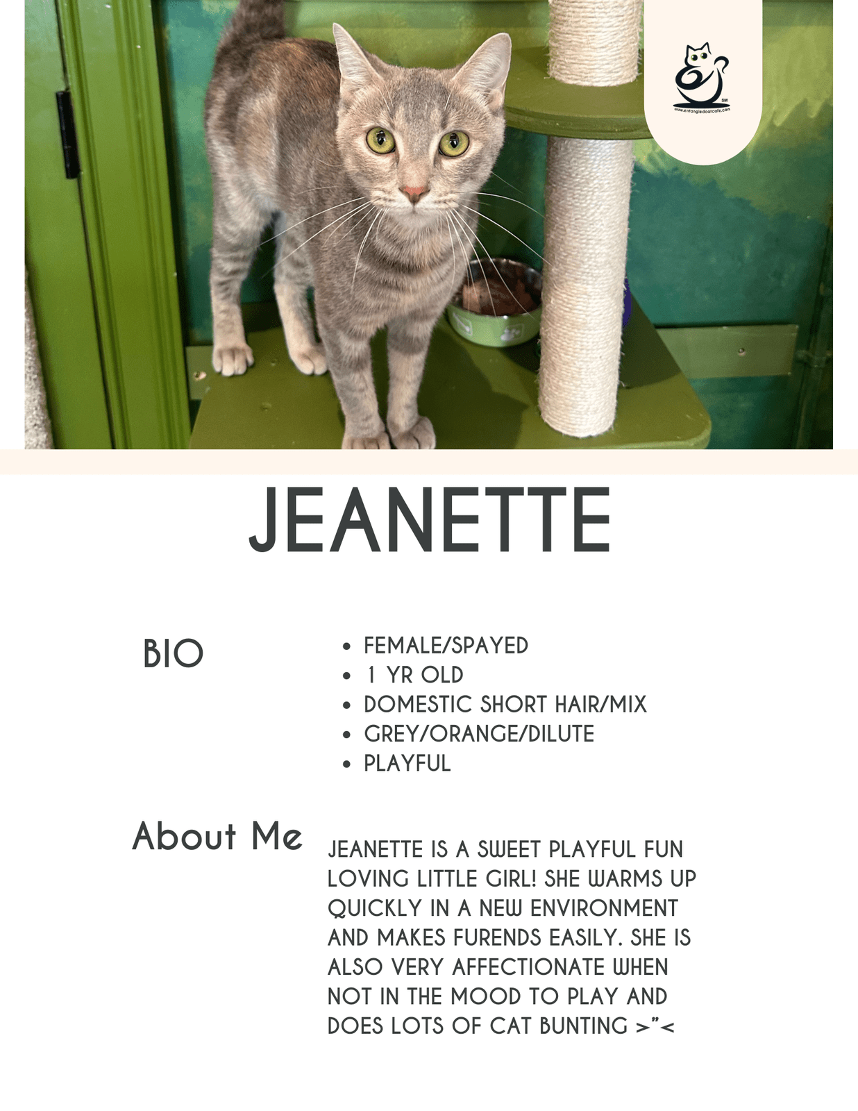 Jeanette
