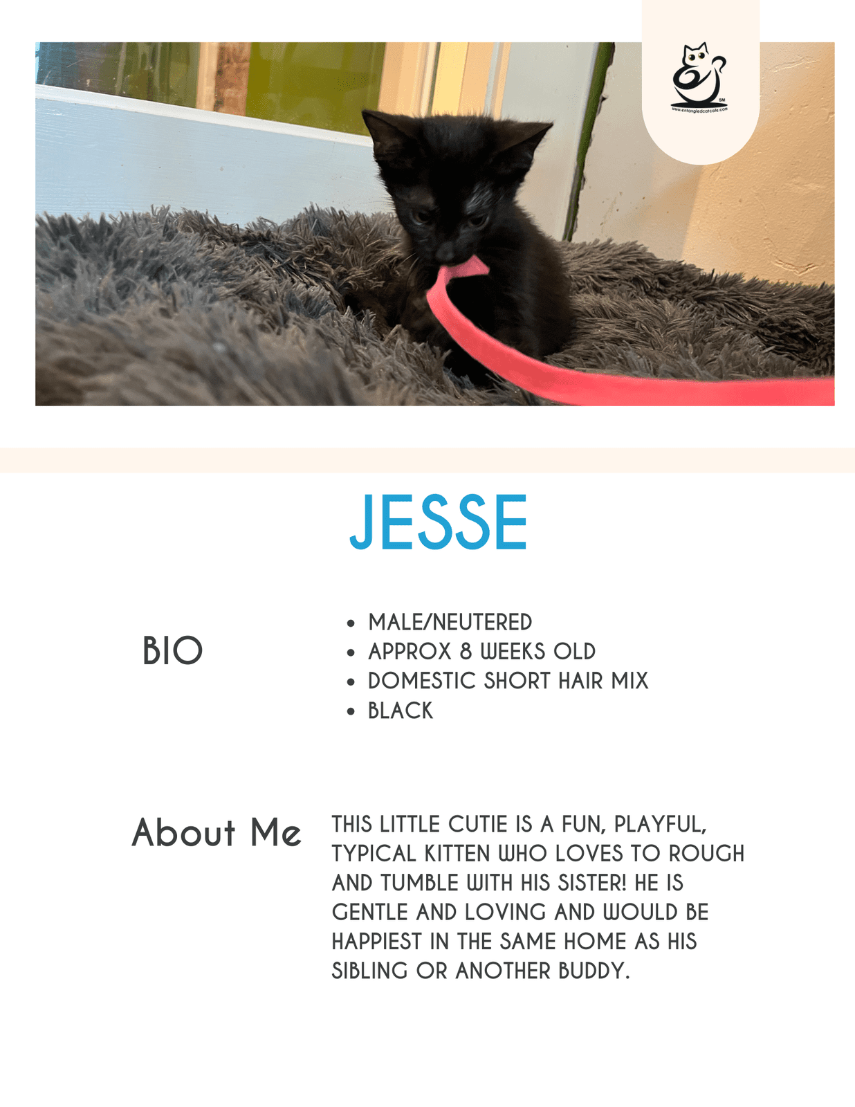 Jesse
