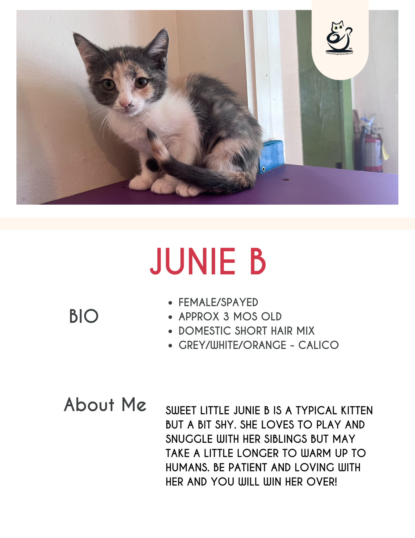 Junie B