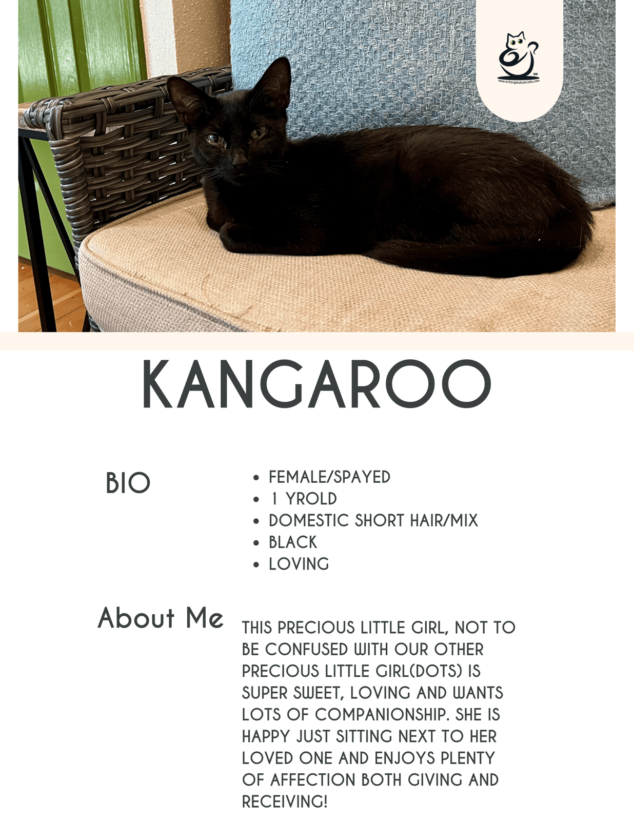 Kangaroo