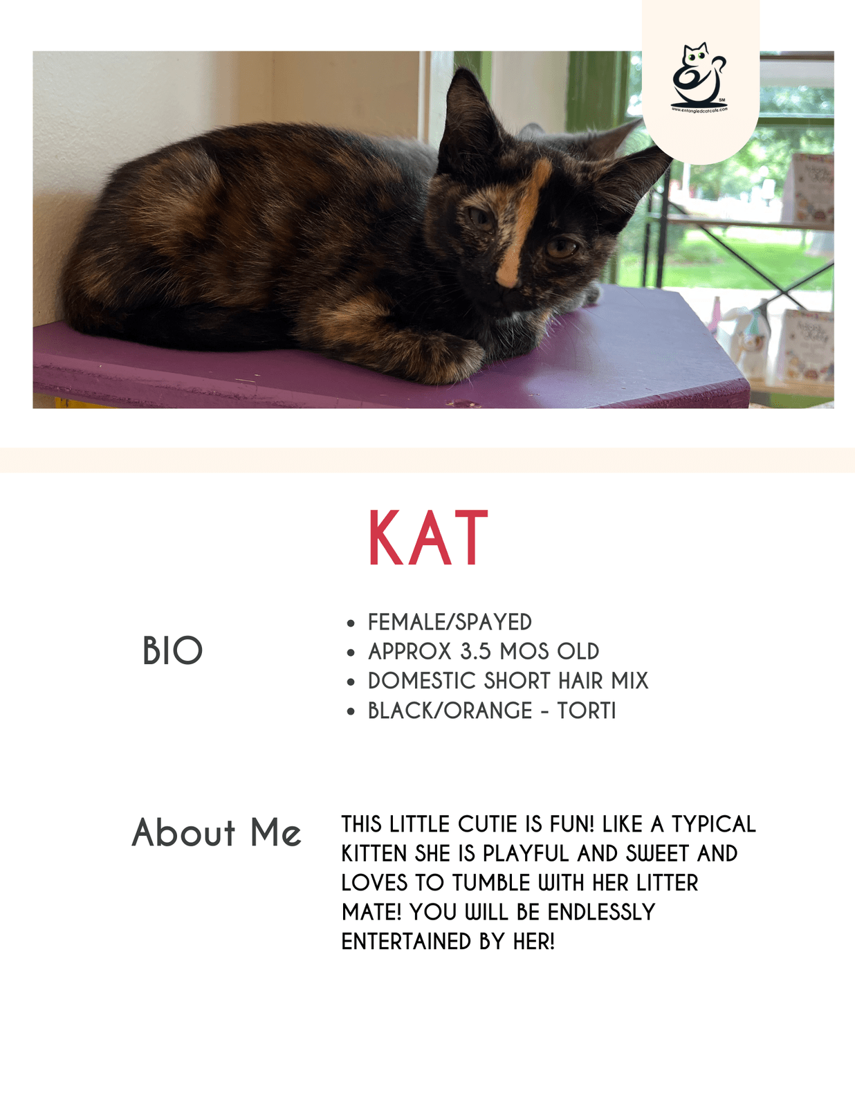 Kat