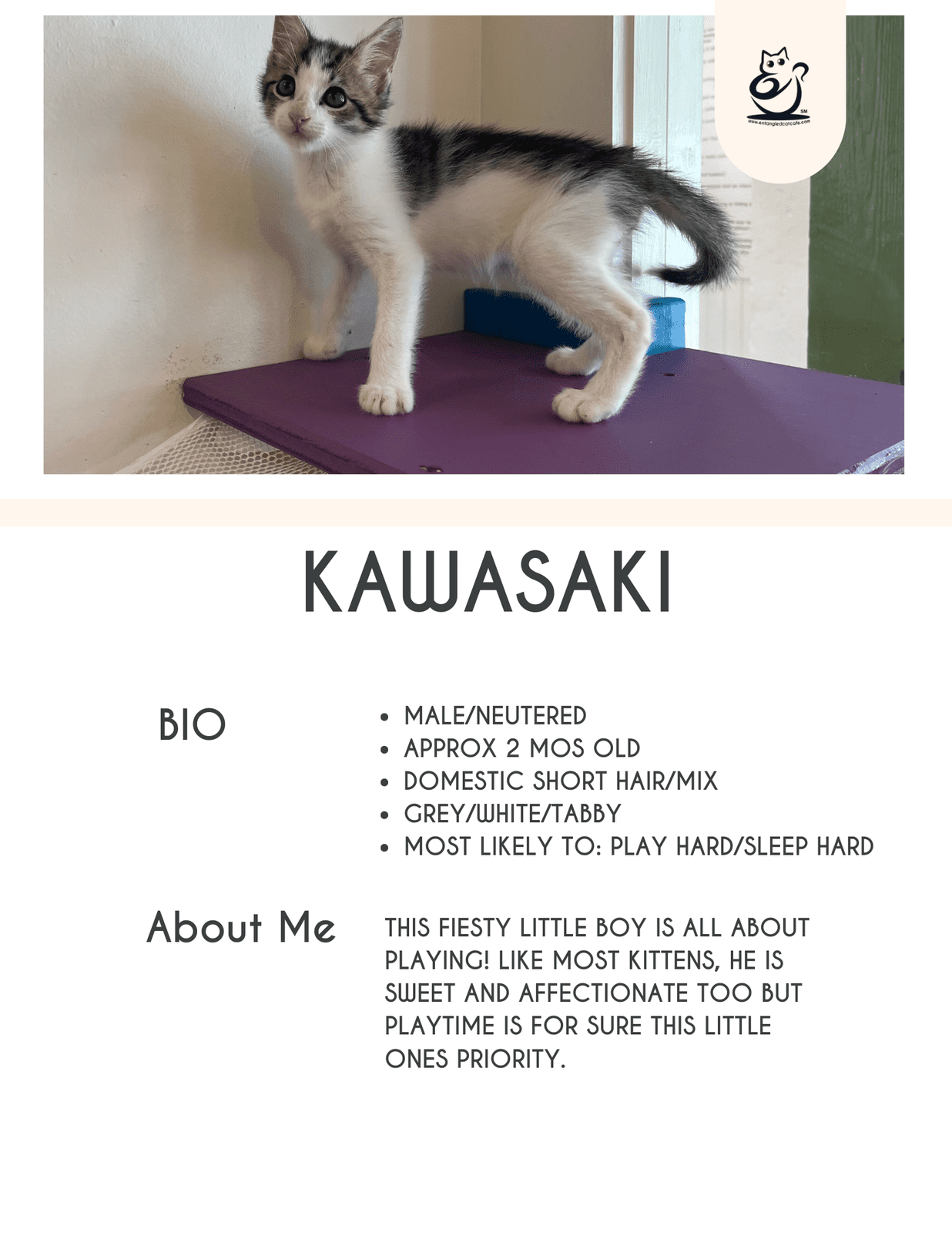 Kawasaki
