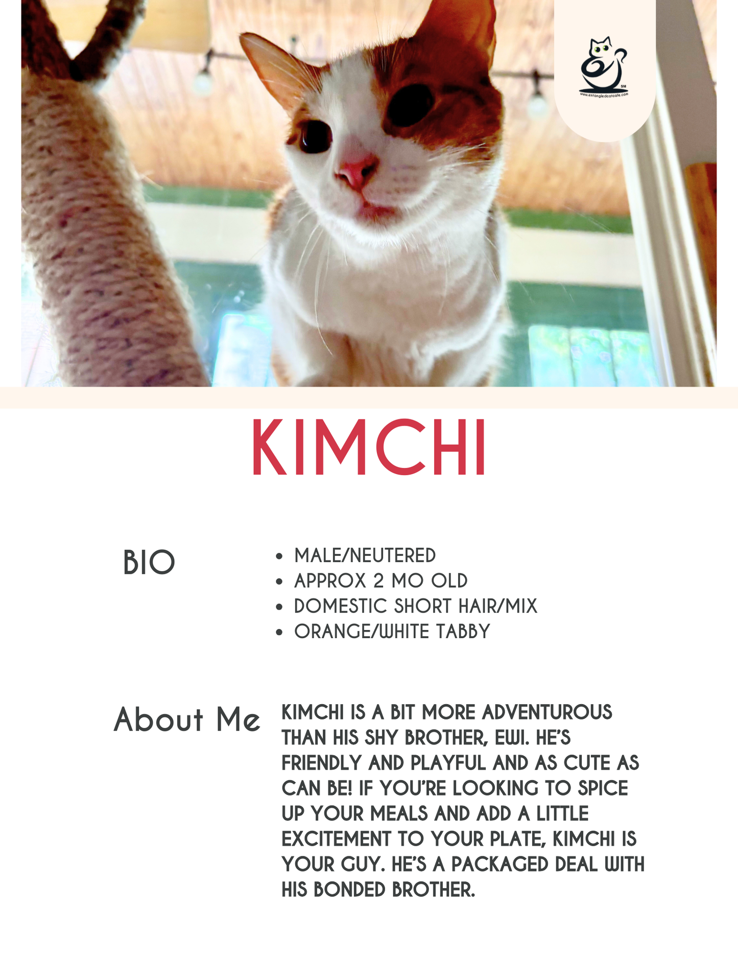 Kimchi