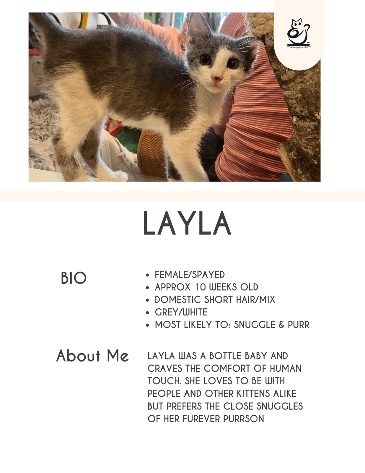 Layla