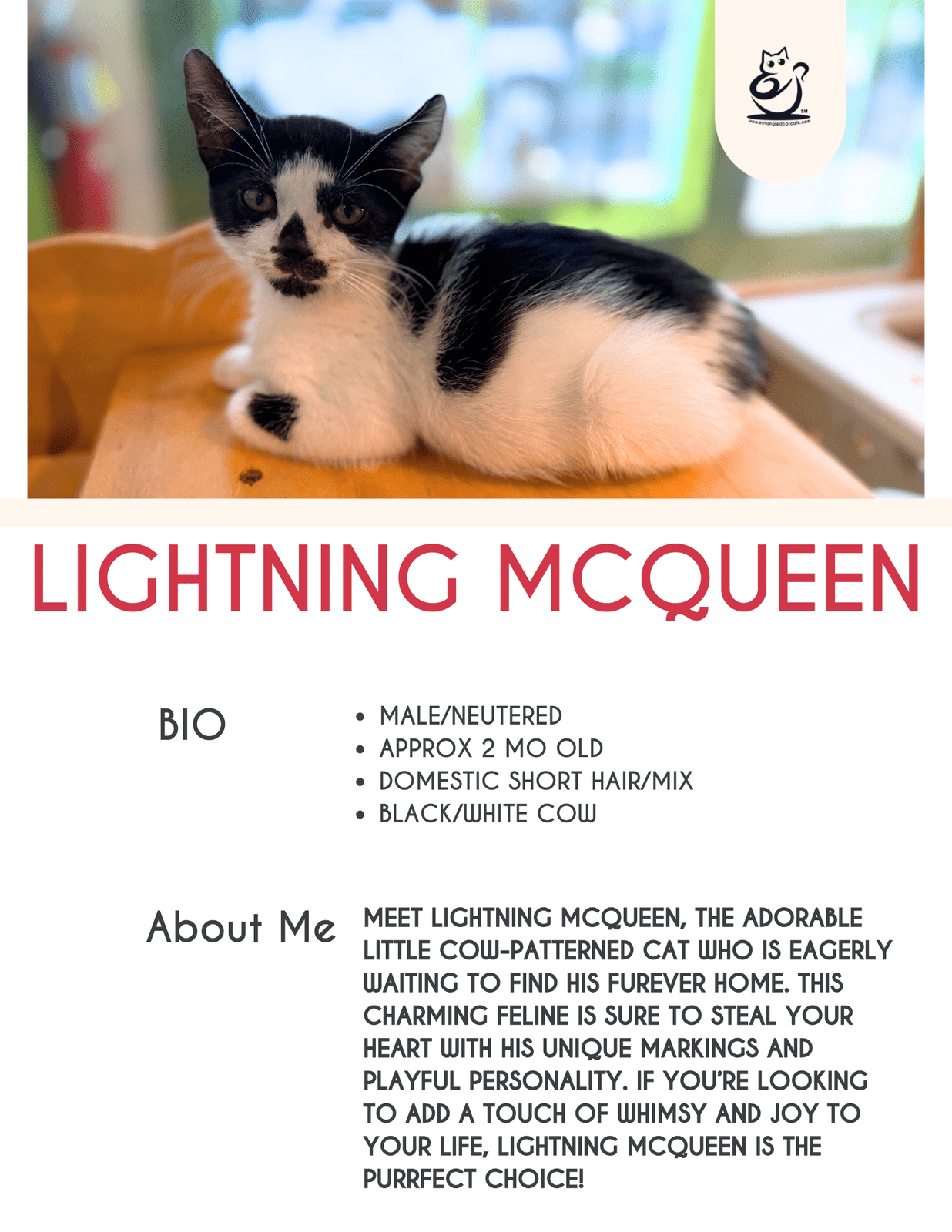 Lightning McQueen
