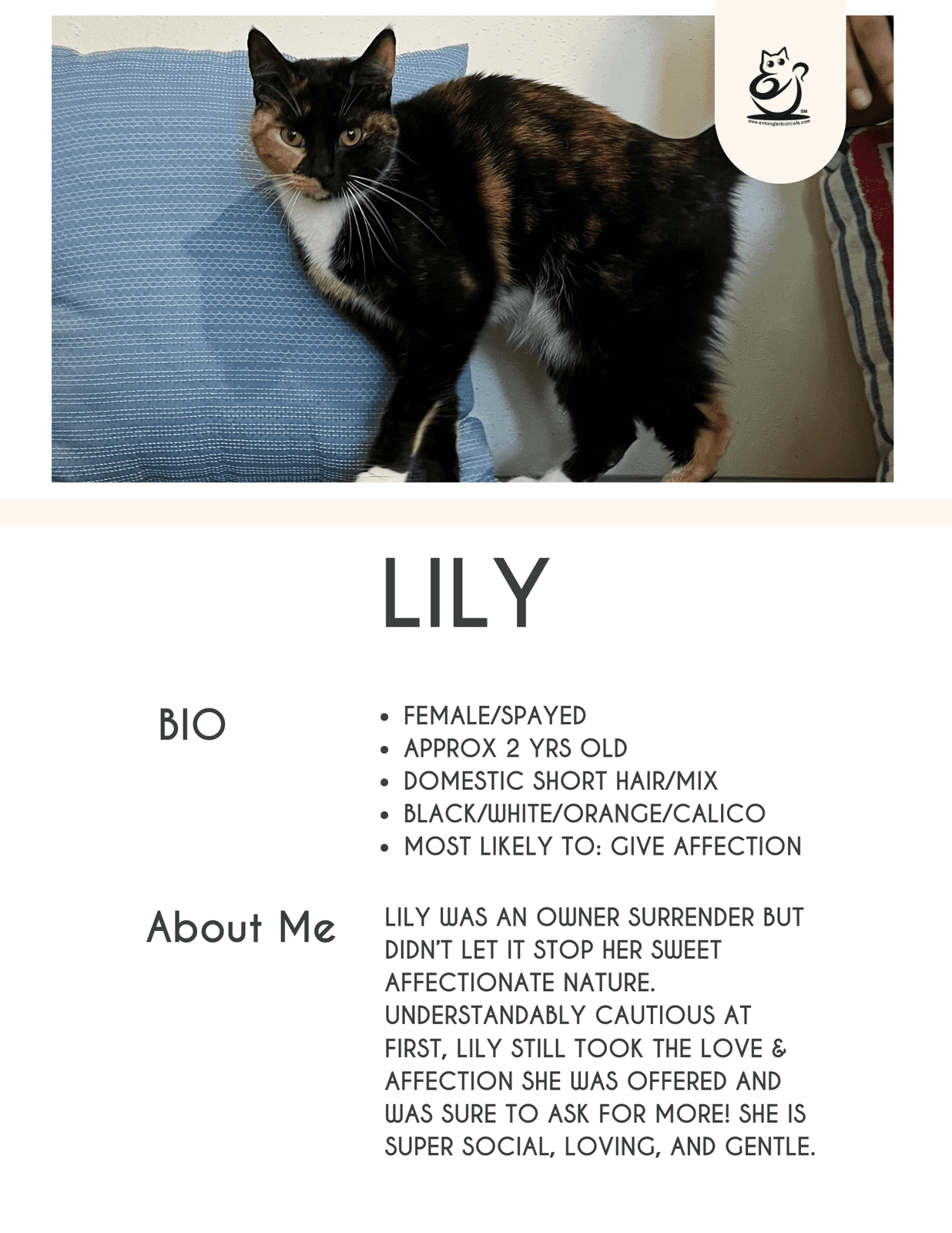 Lily