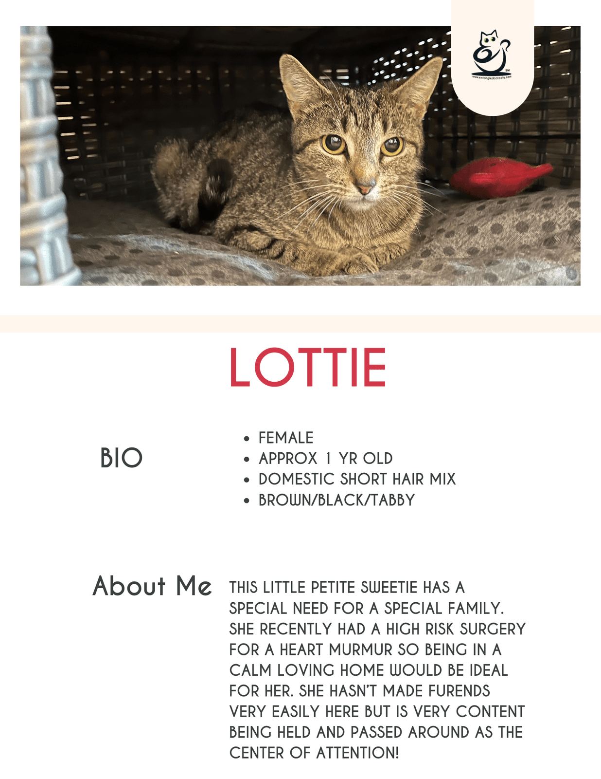 Lottie