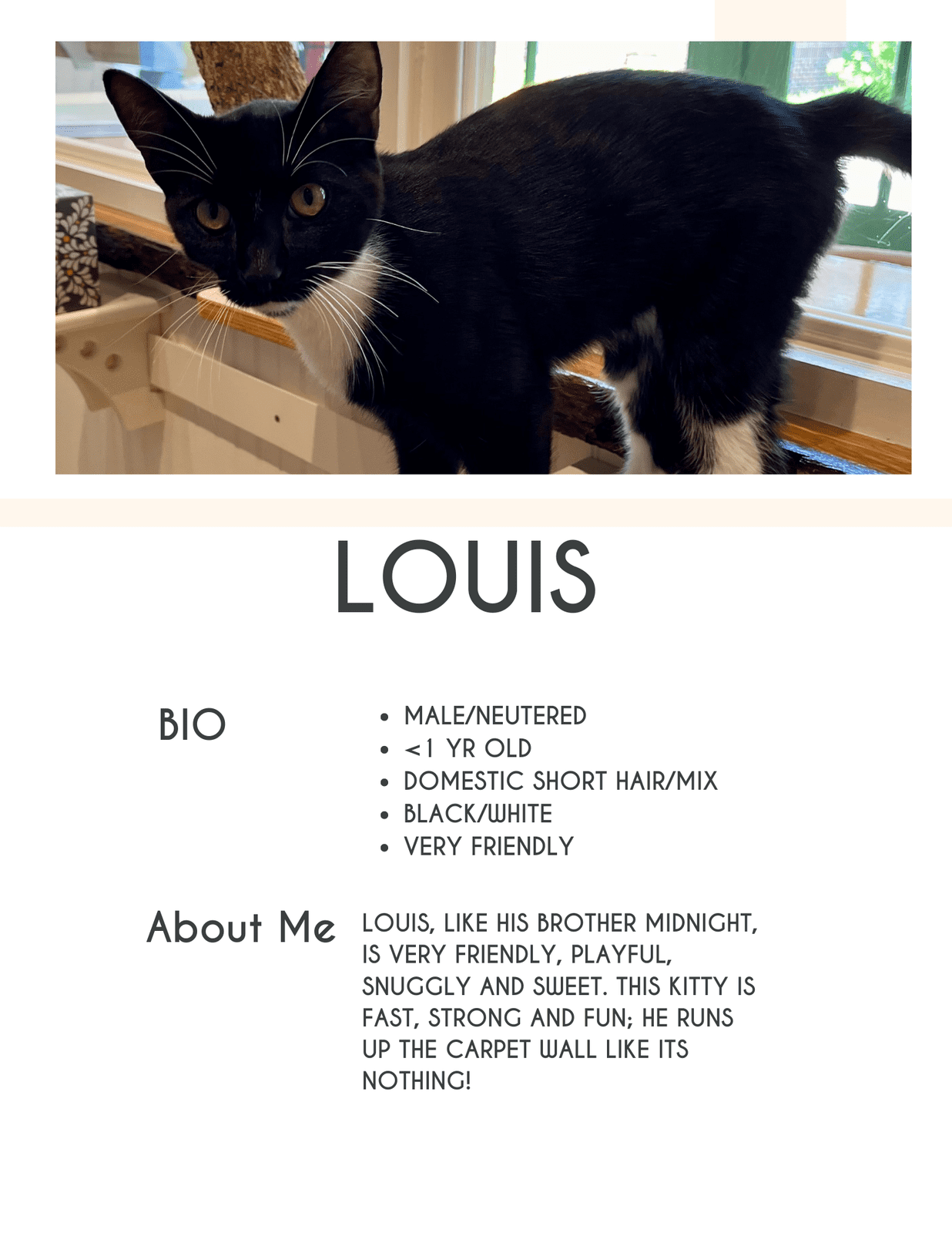 Luis