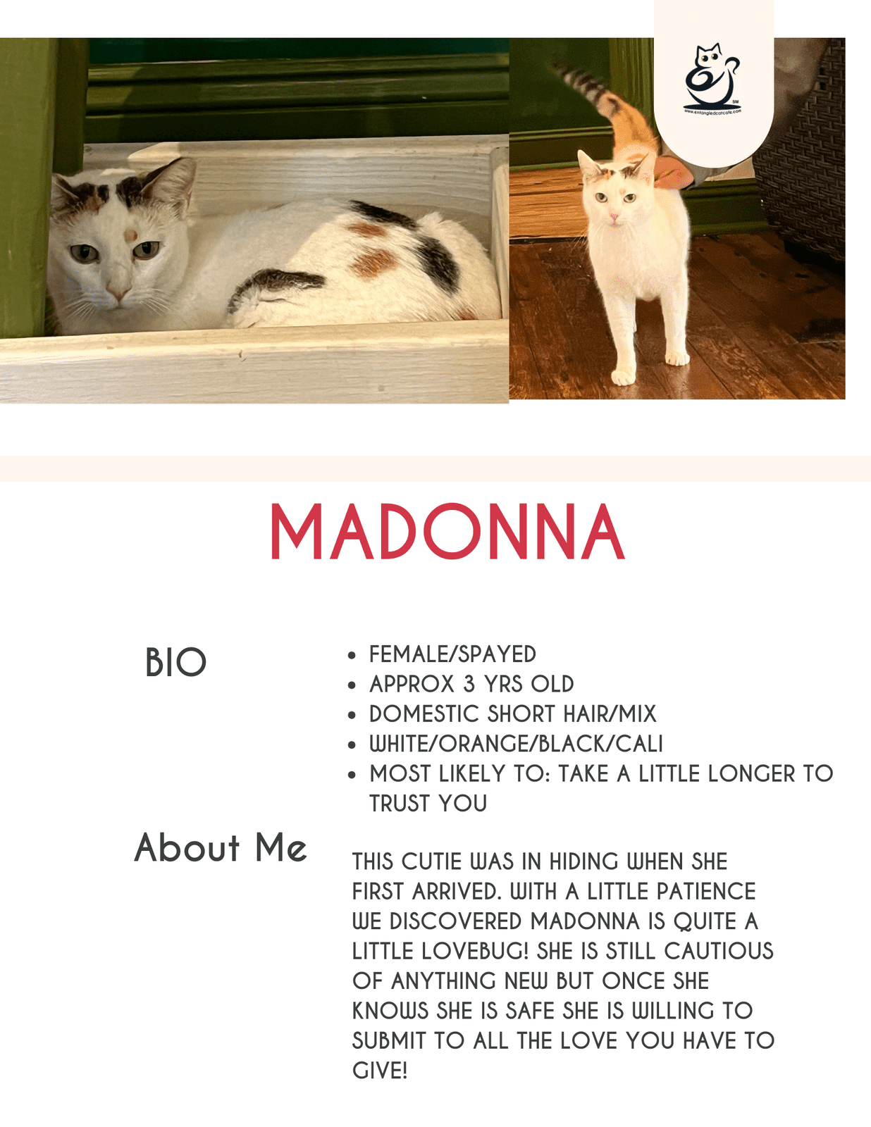 Madonna