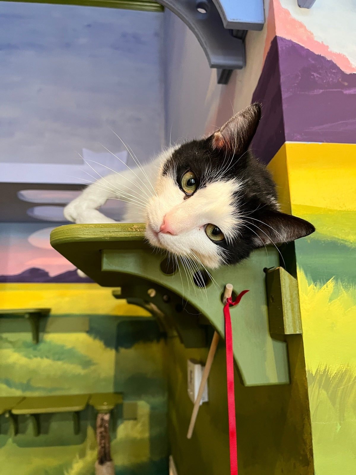 Max