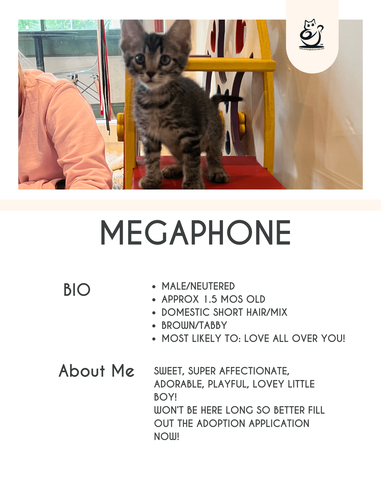 Megaphone