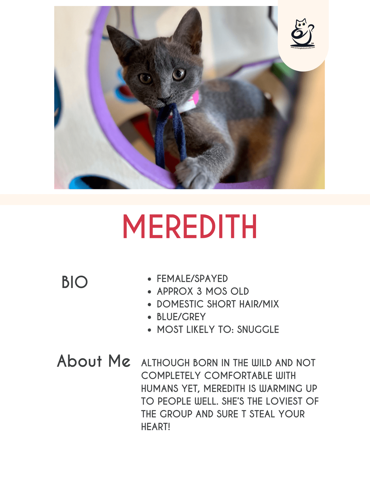 Meredith