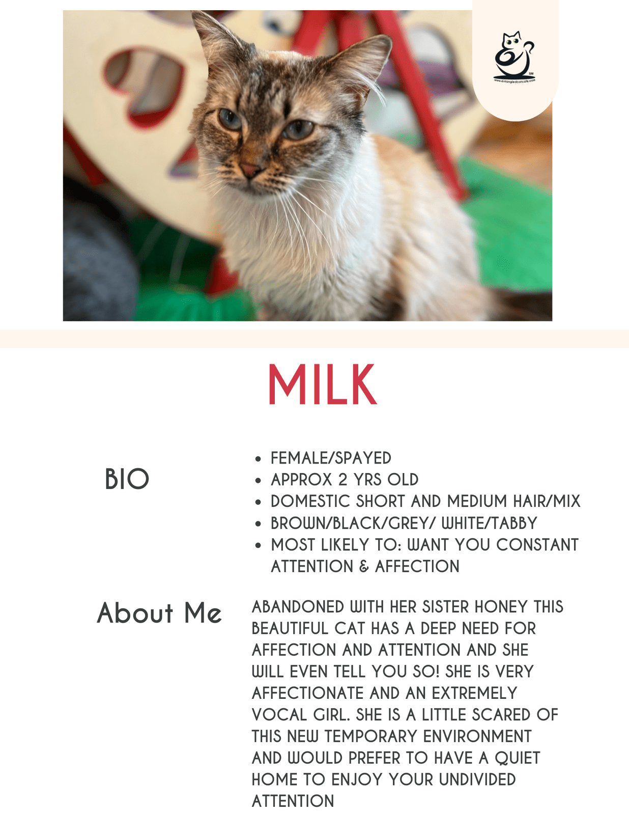 Milk