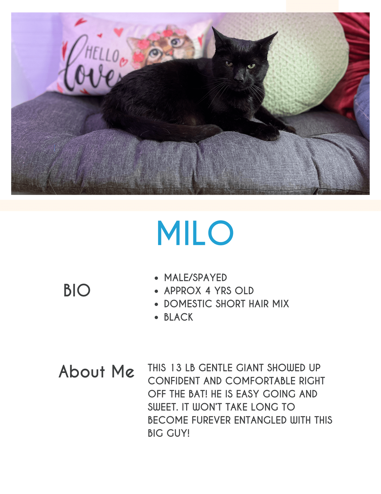 Milo