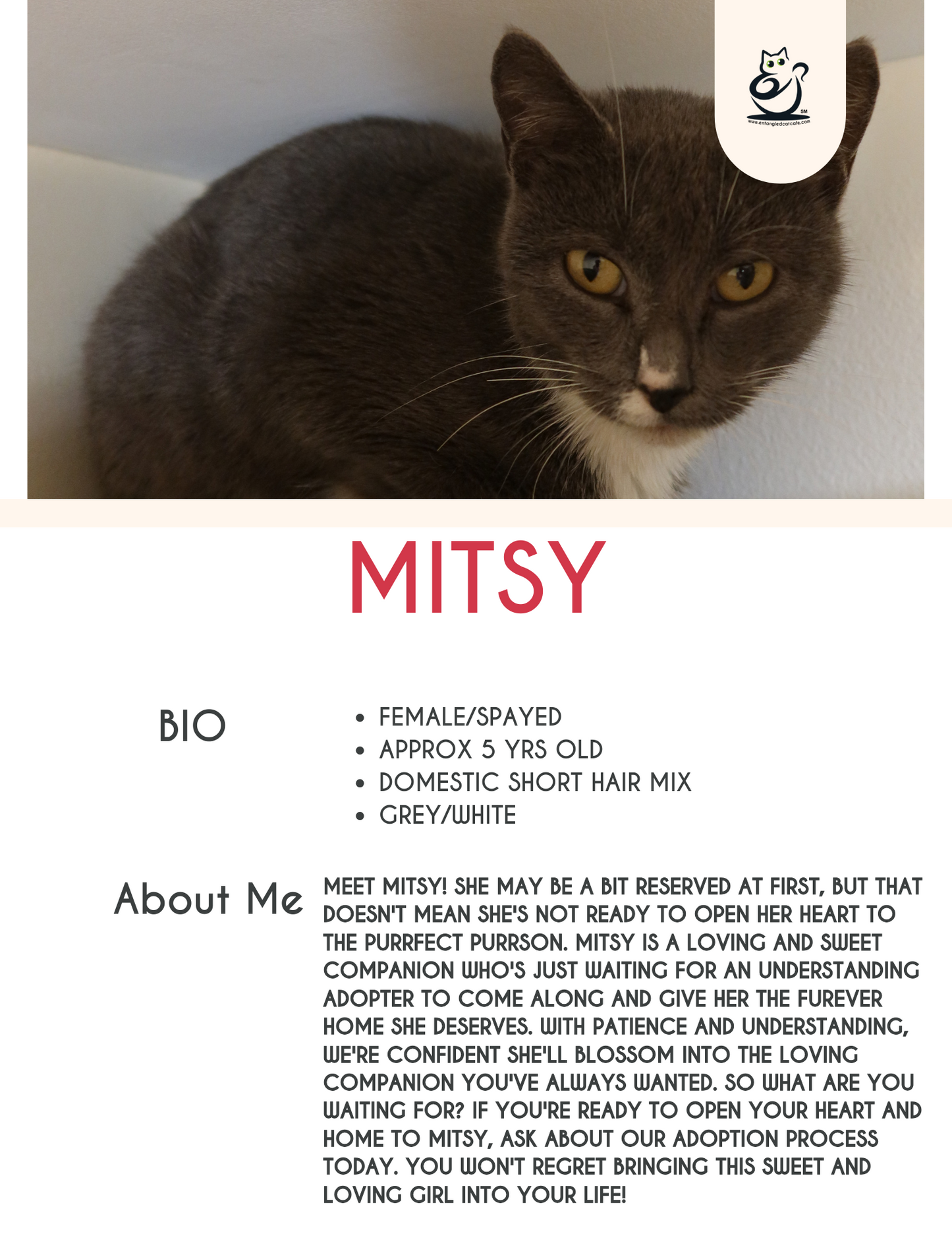 Mitsy