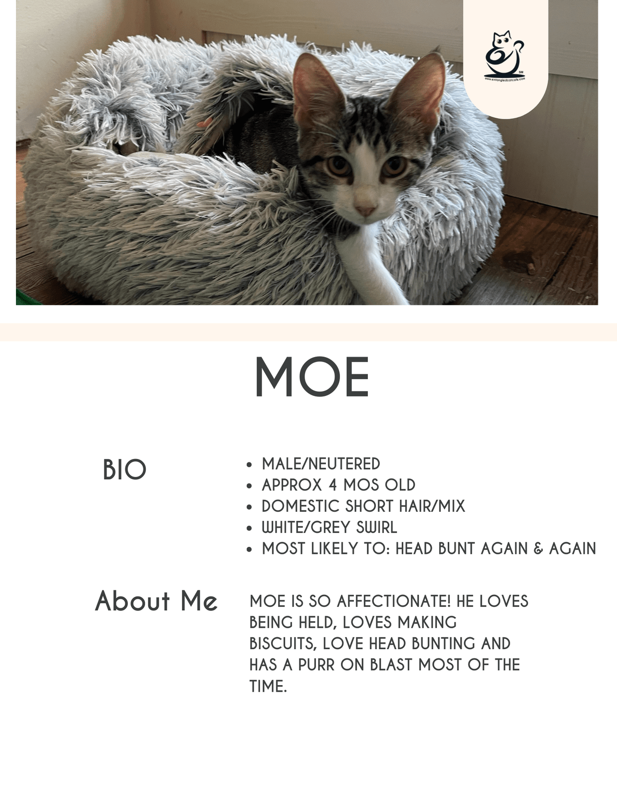Moe