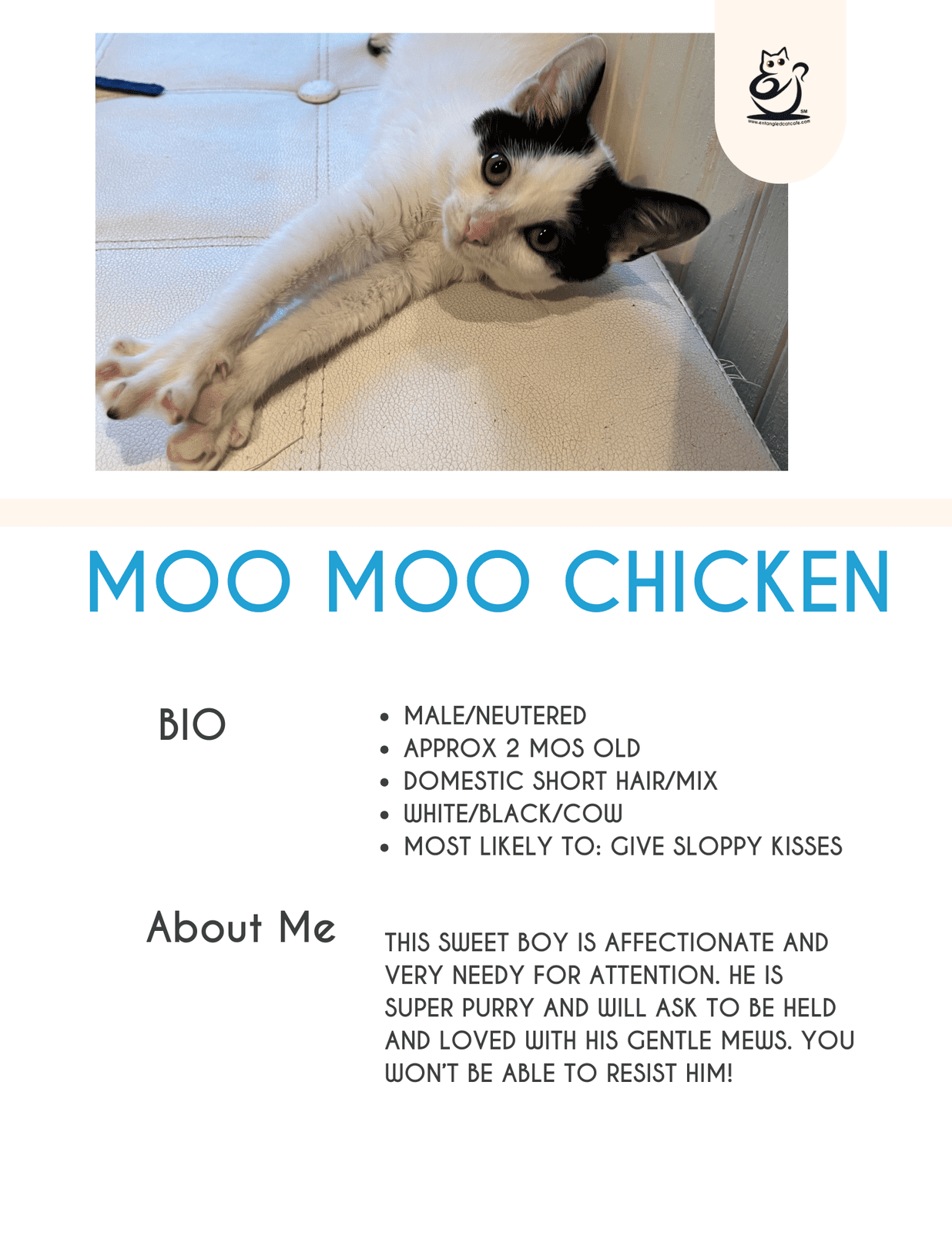 MooMoo Chicken