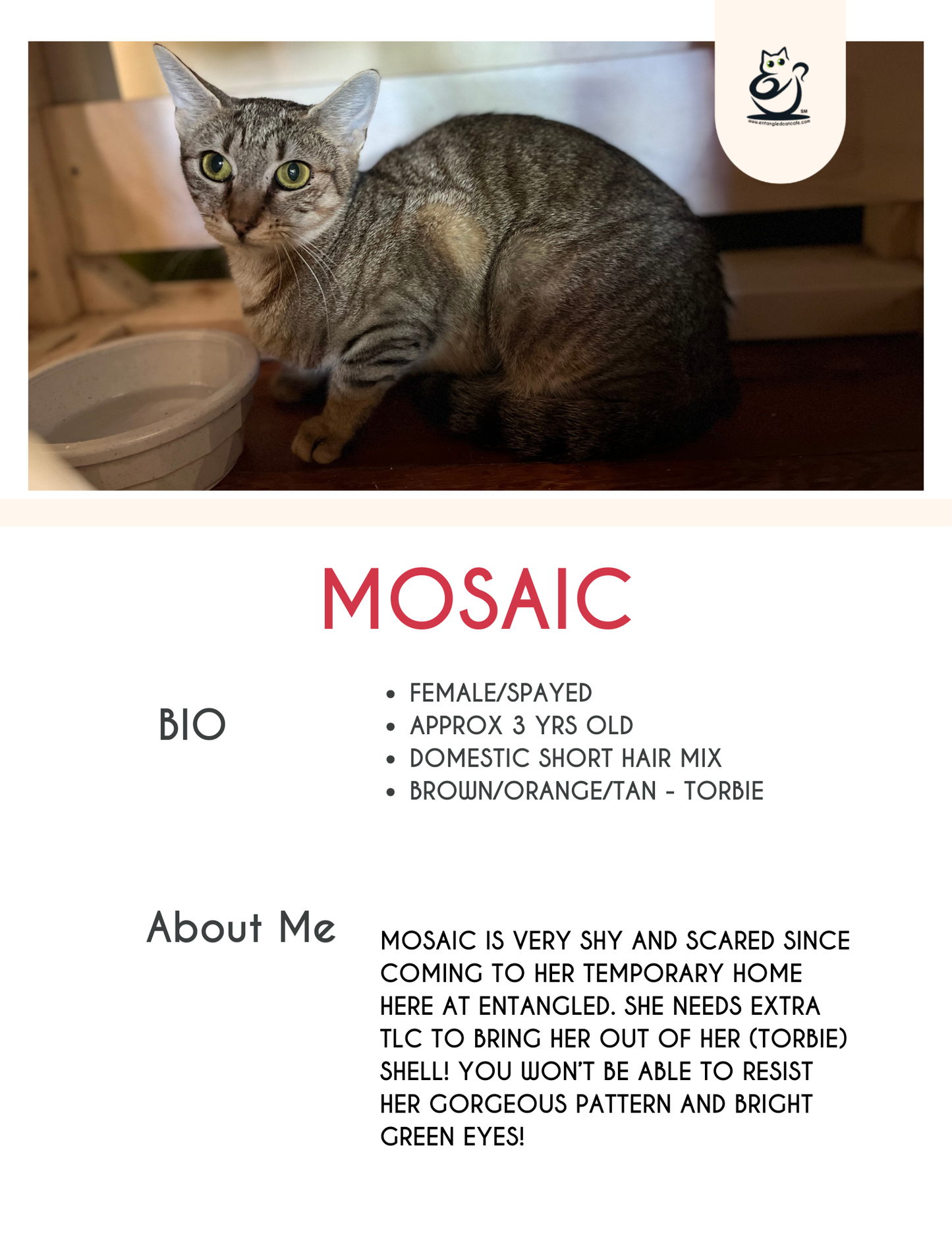 Mosaic